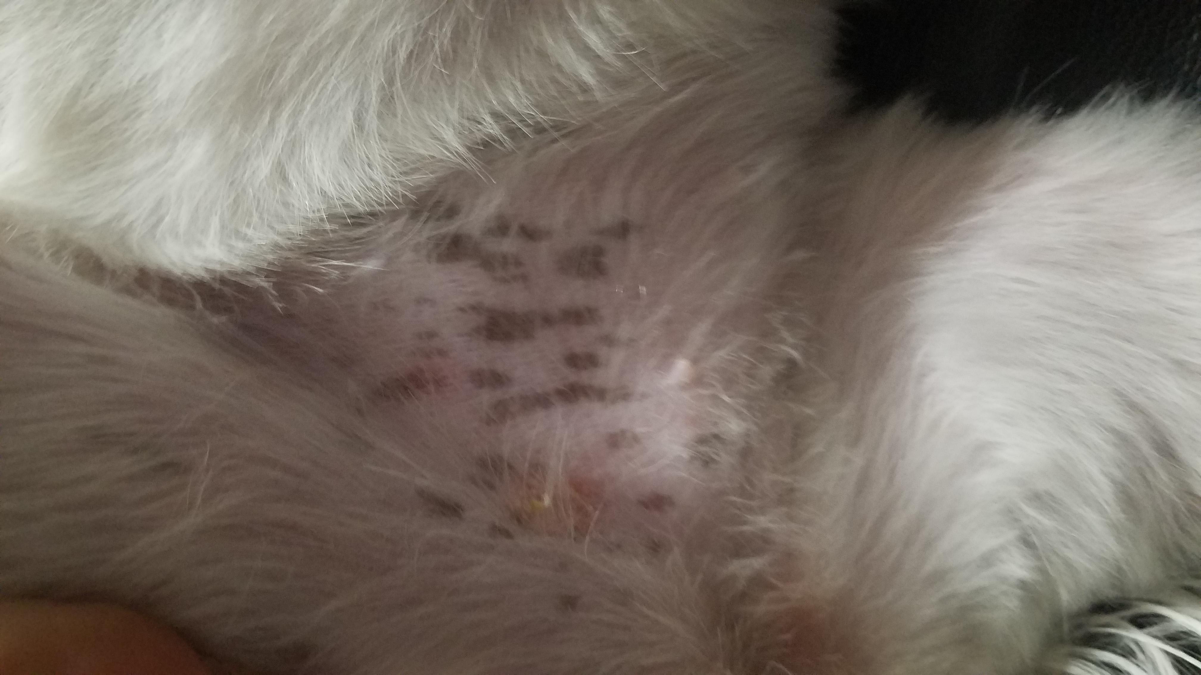 Question details sensitive content