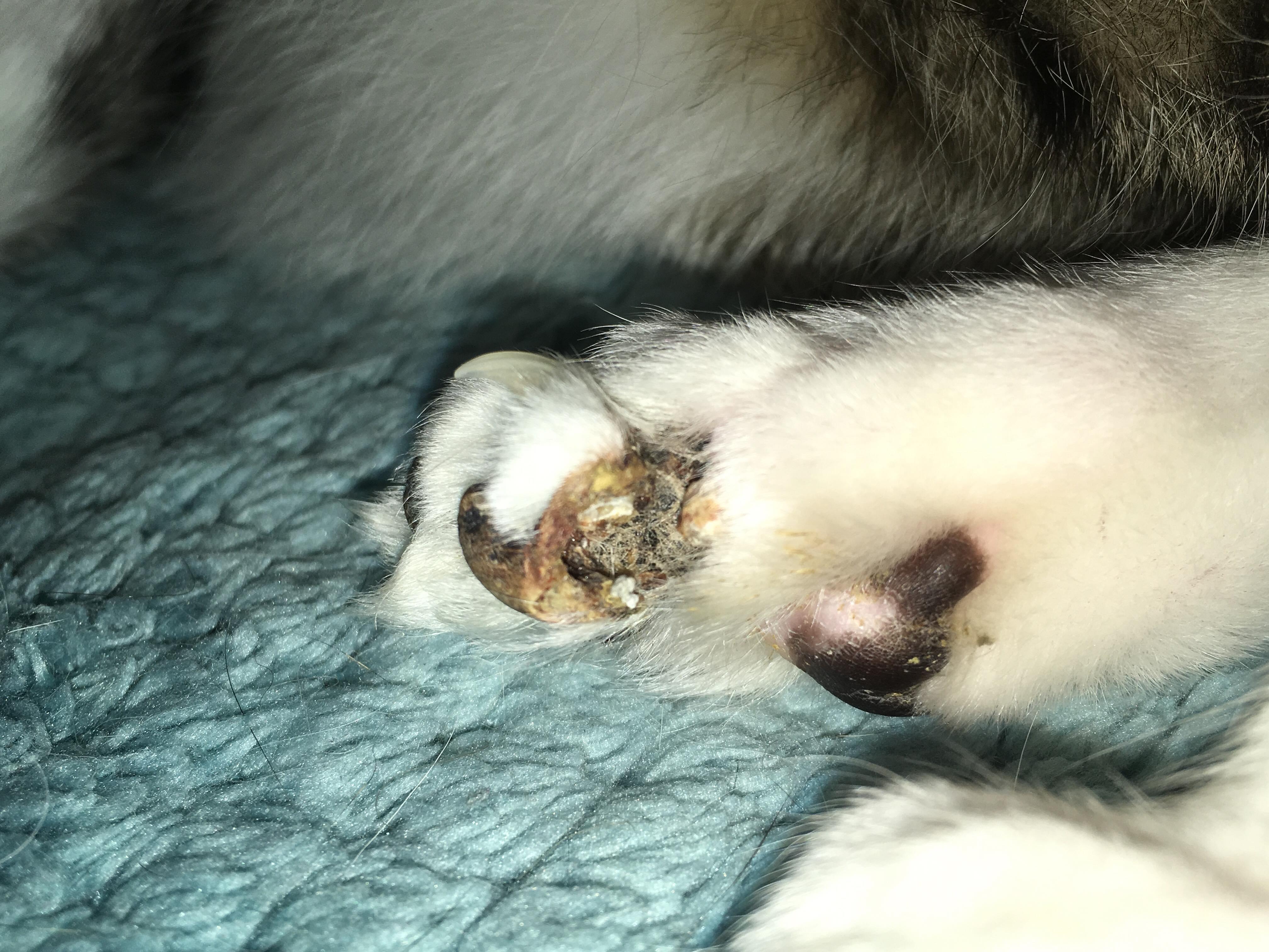 Question details sensitive content