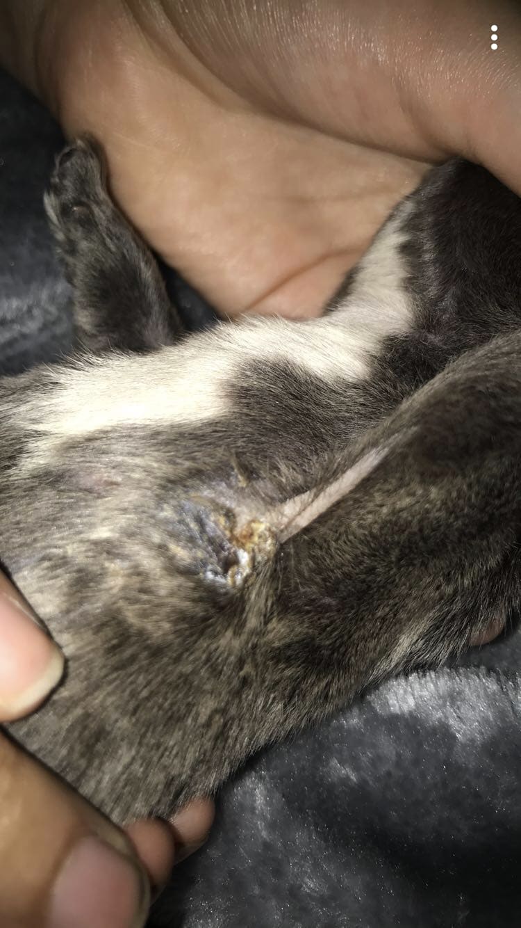 Question details sensitive content