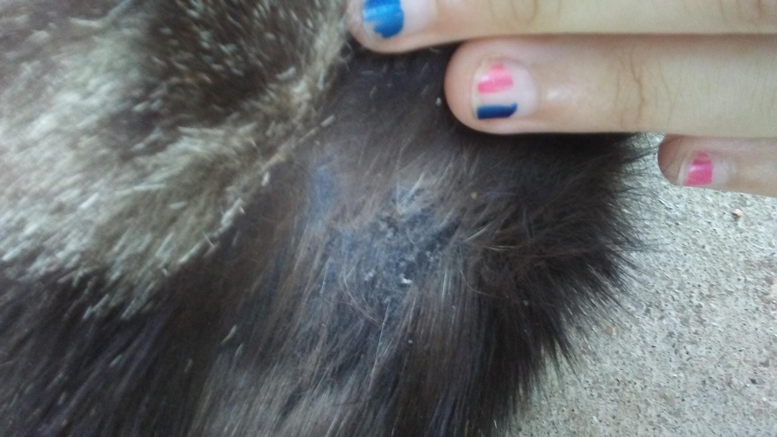 Question details sensitive content