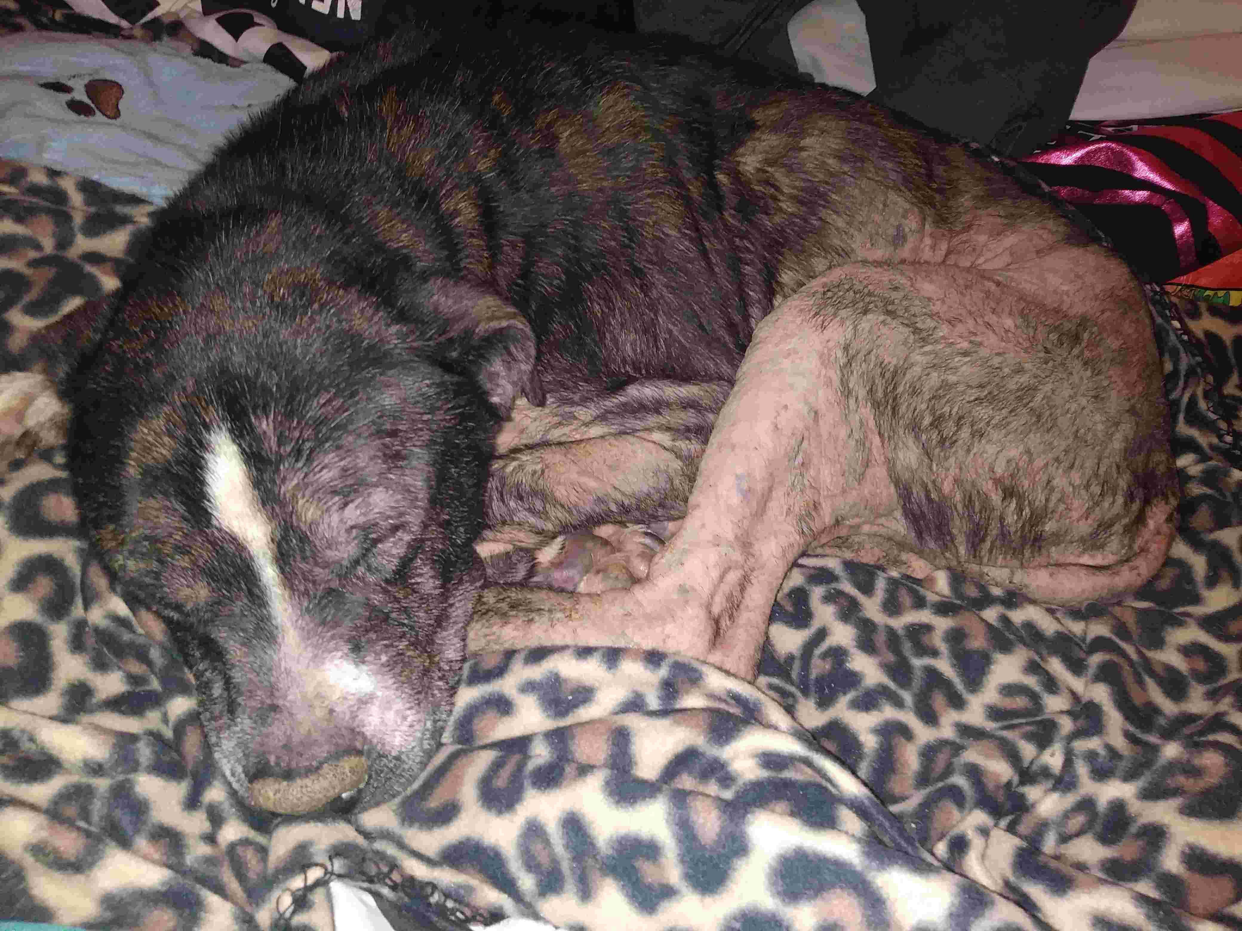 Question details sensitive content