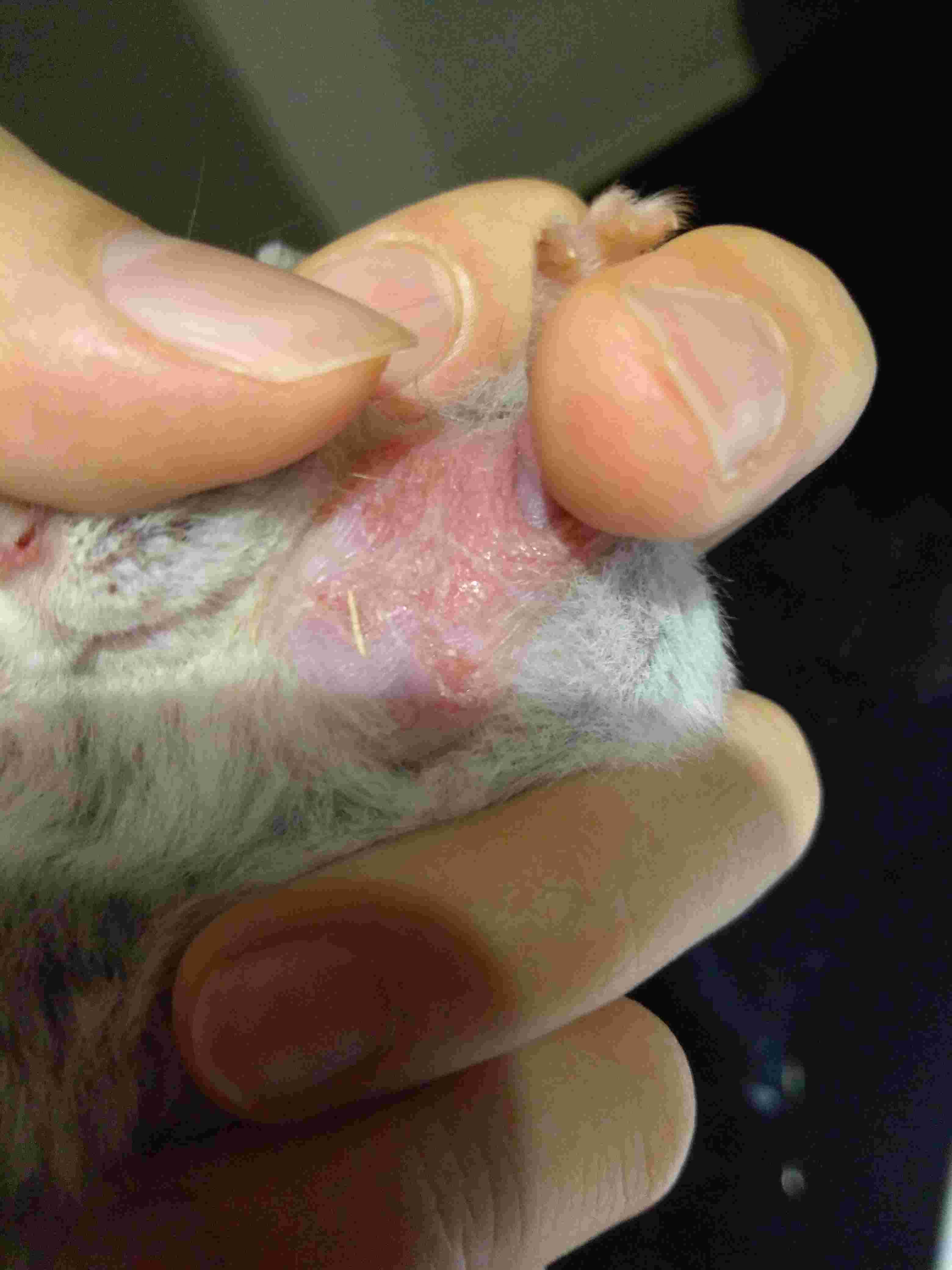 Question details sensitive content