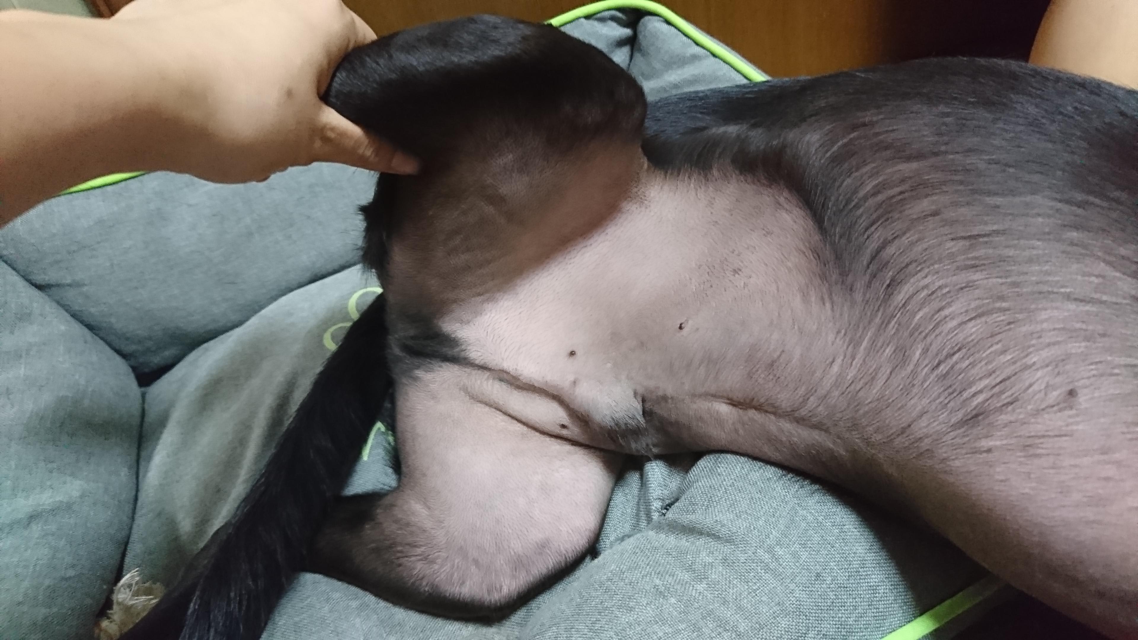 Question details sensitive content