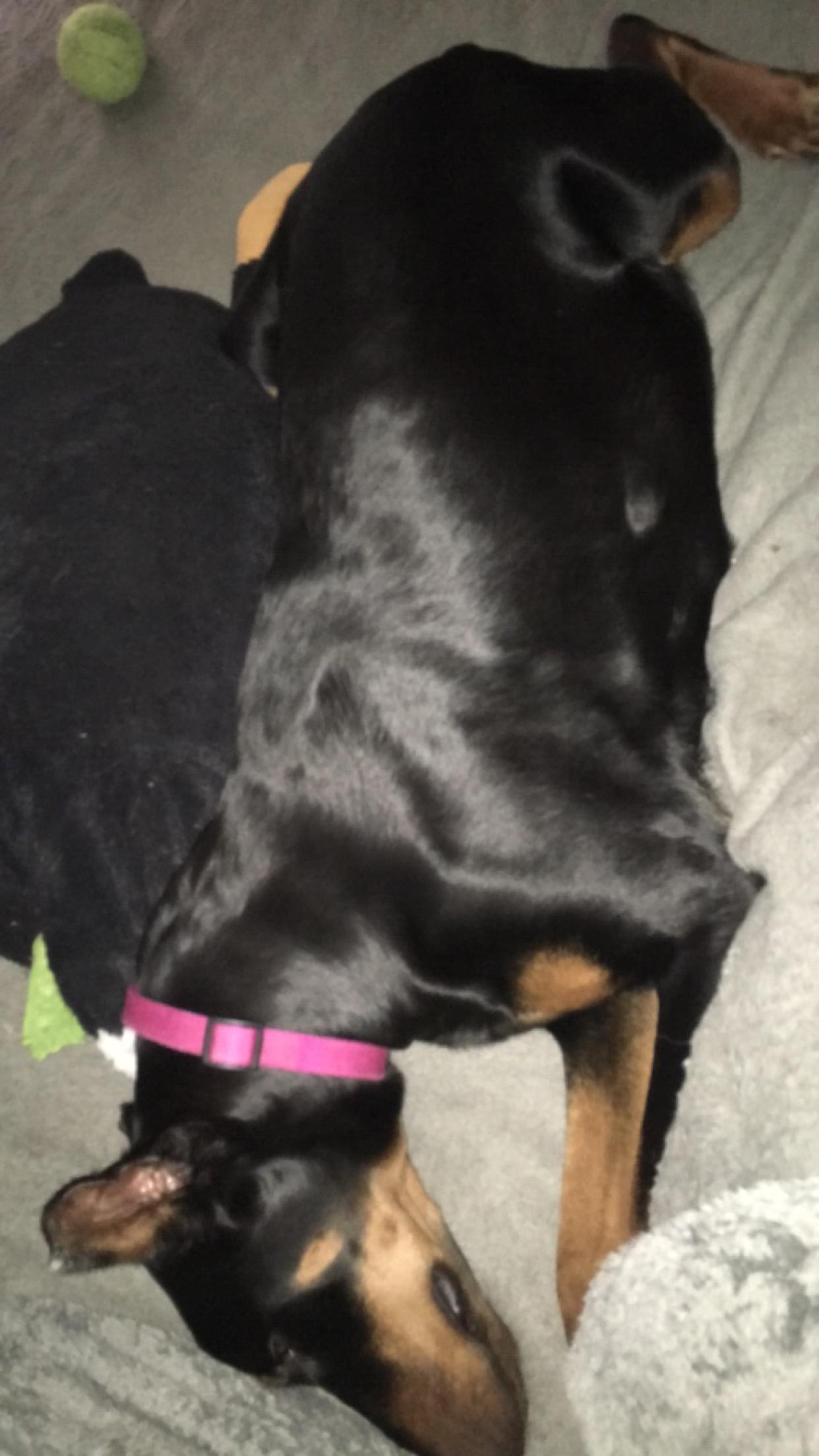 Question details sensitive content