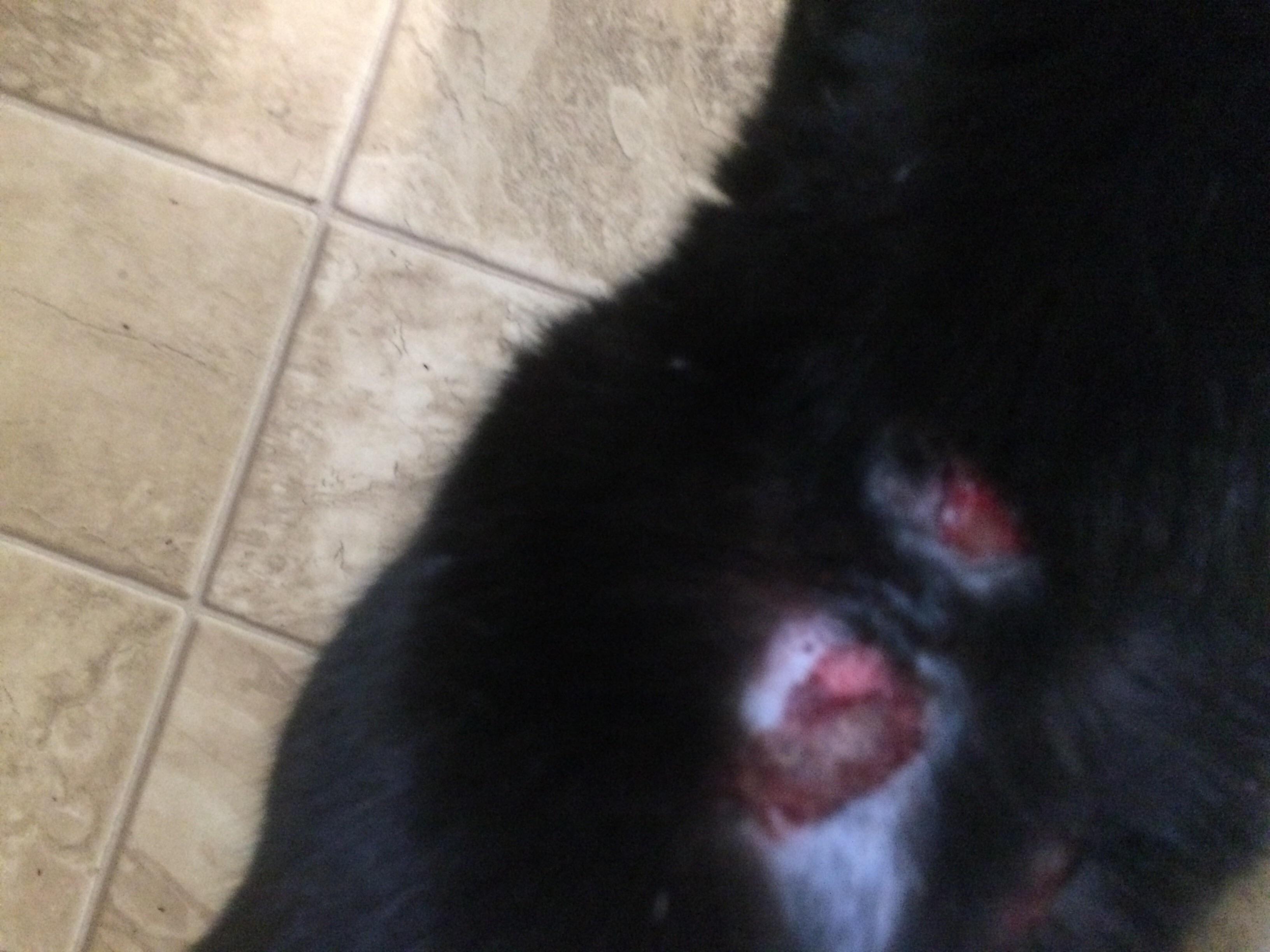 Question details sensitive content