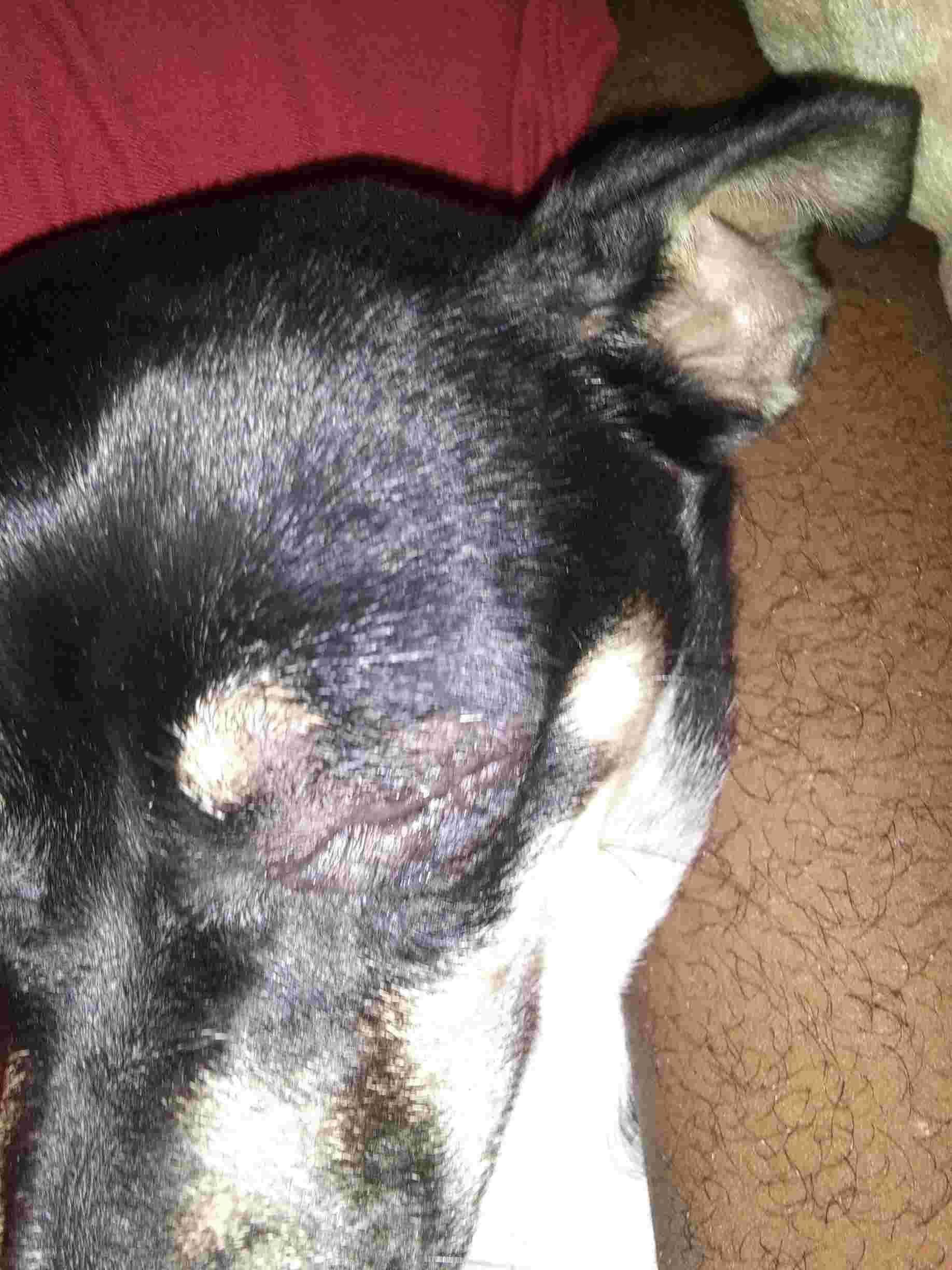 Question details sensitive content