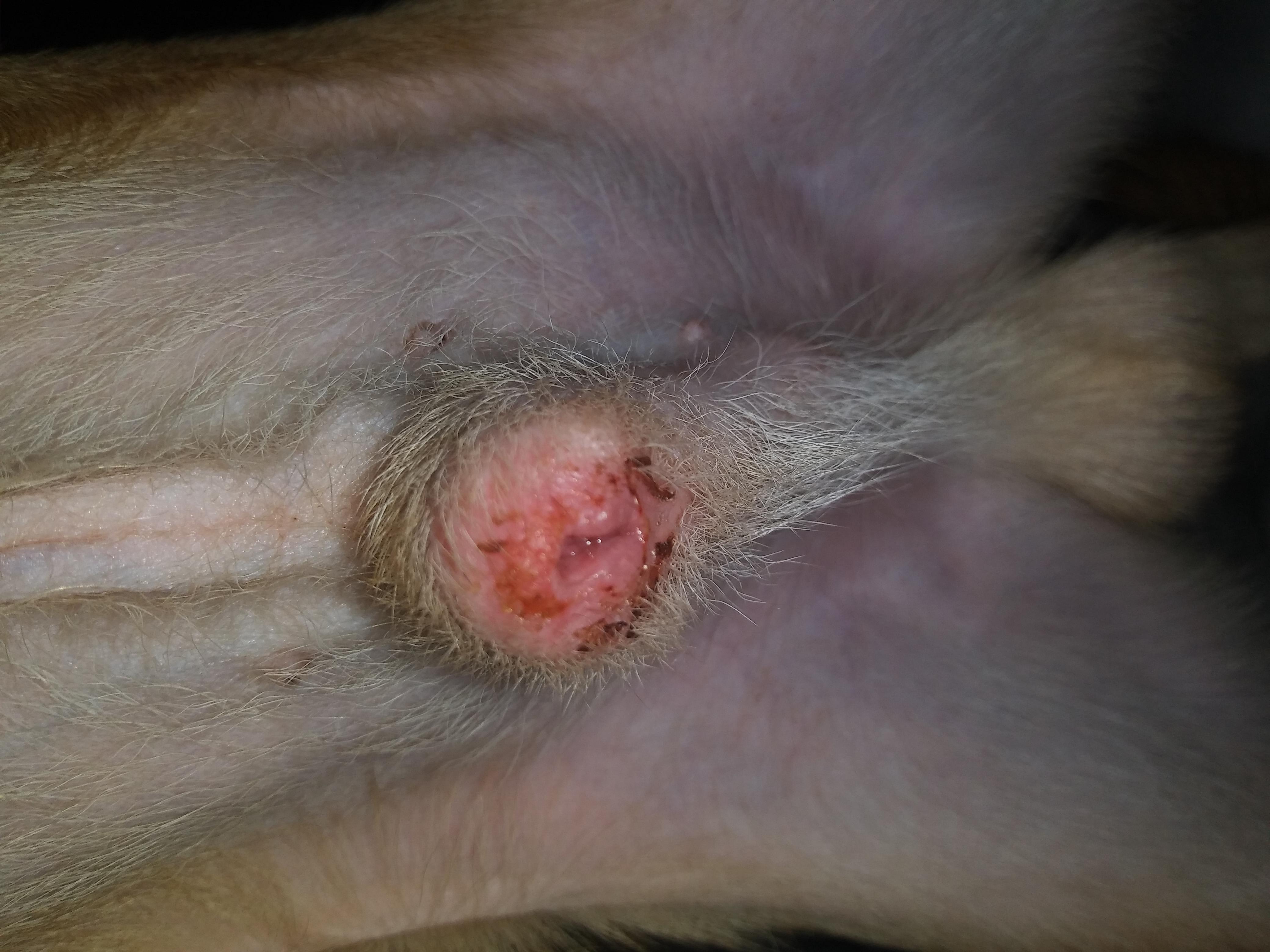 Question details sensitive content