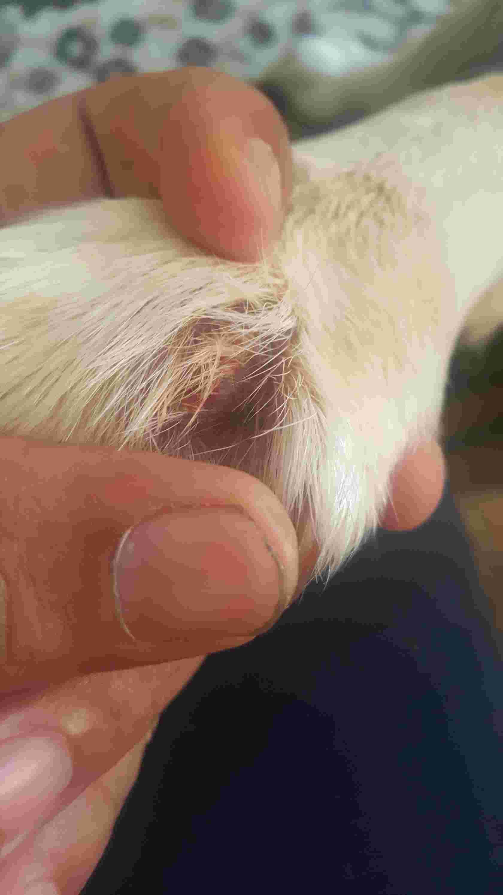 Question details sensitive content