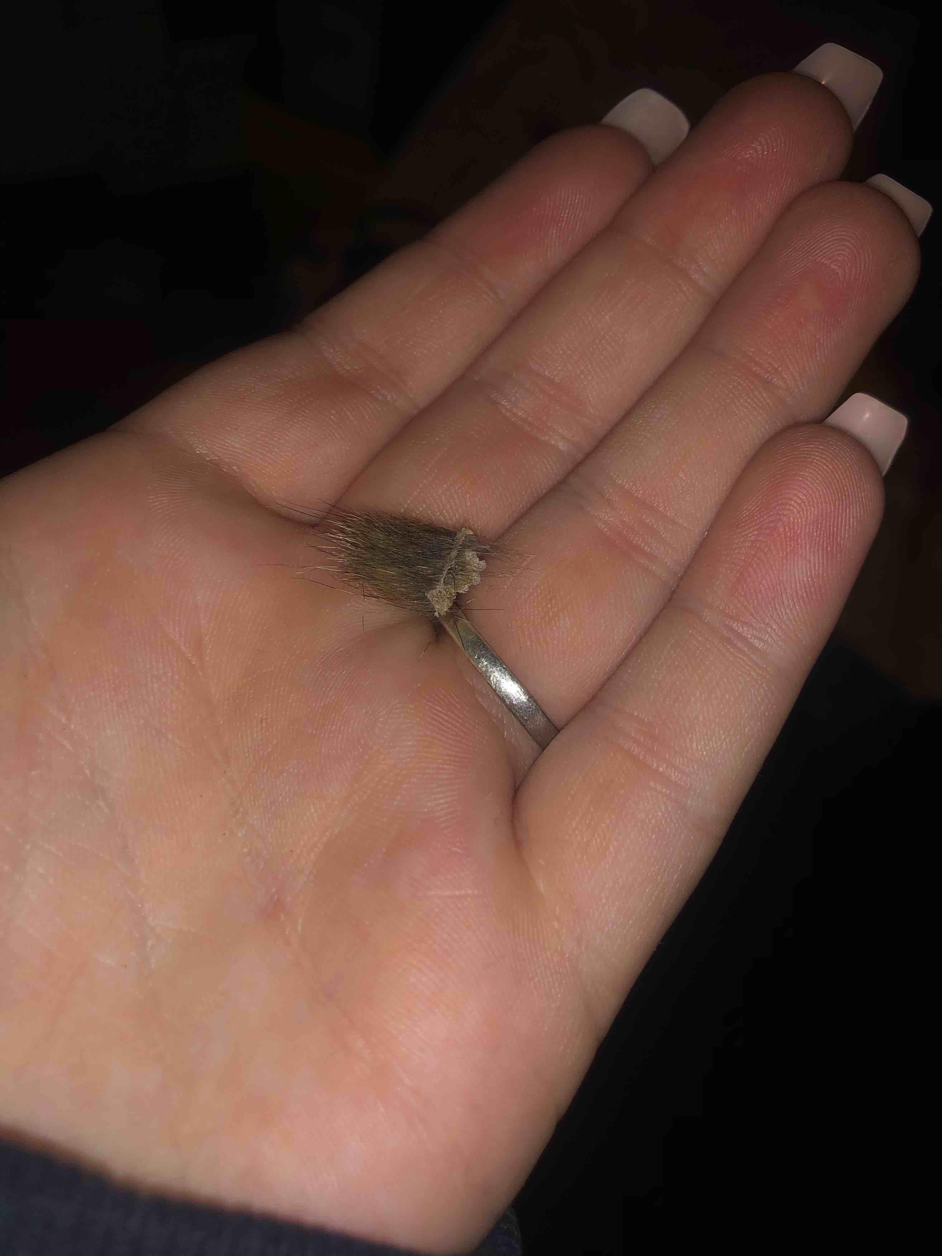 Question details sensitive content