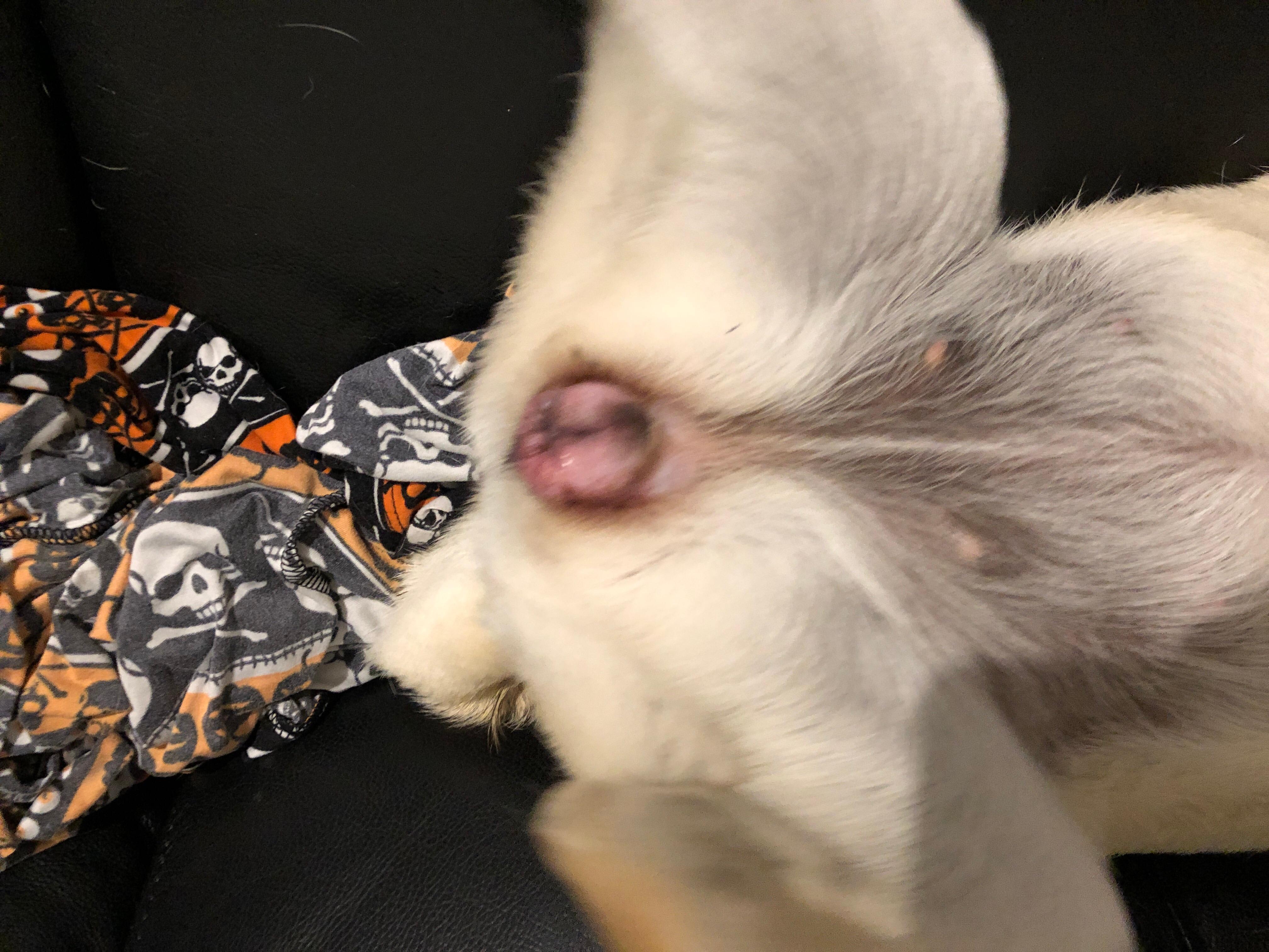 Question details sensitive content