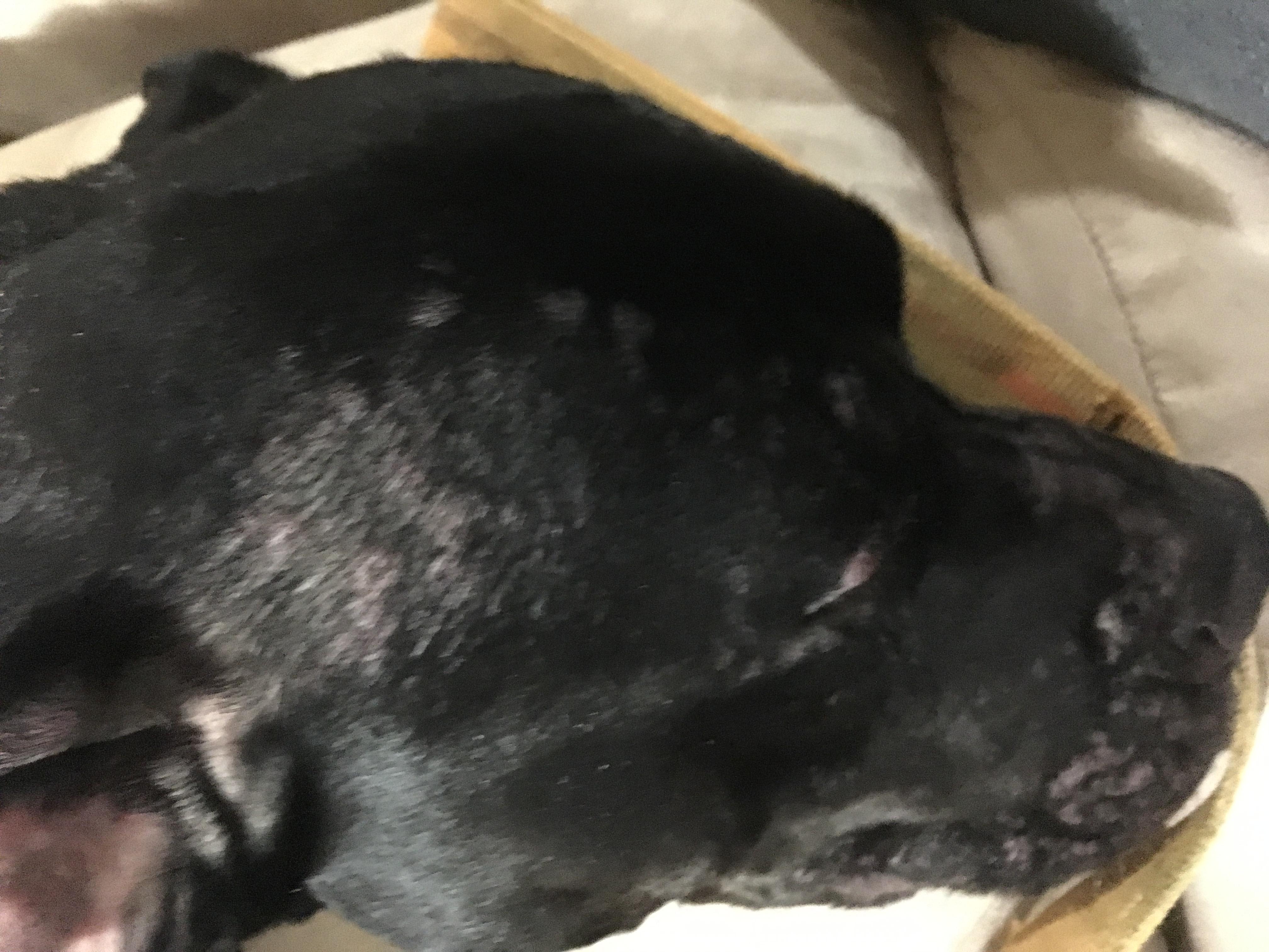 Question details sensitive content