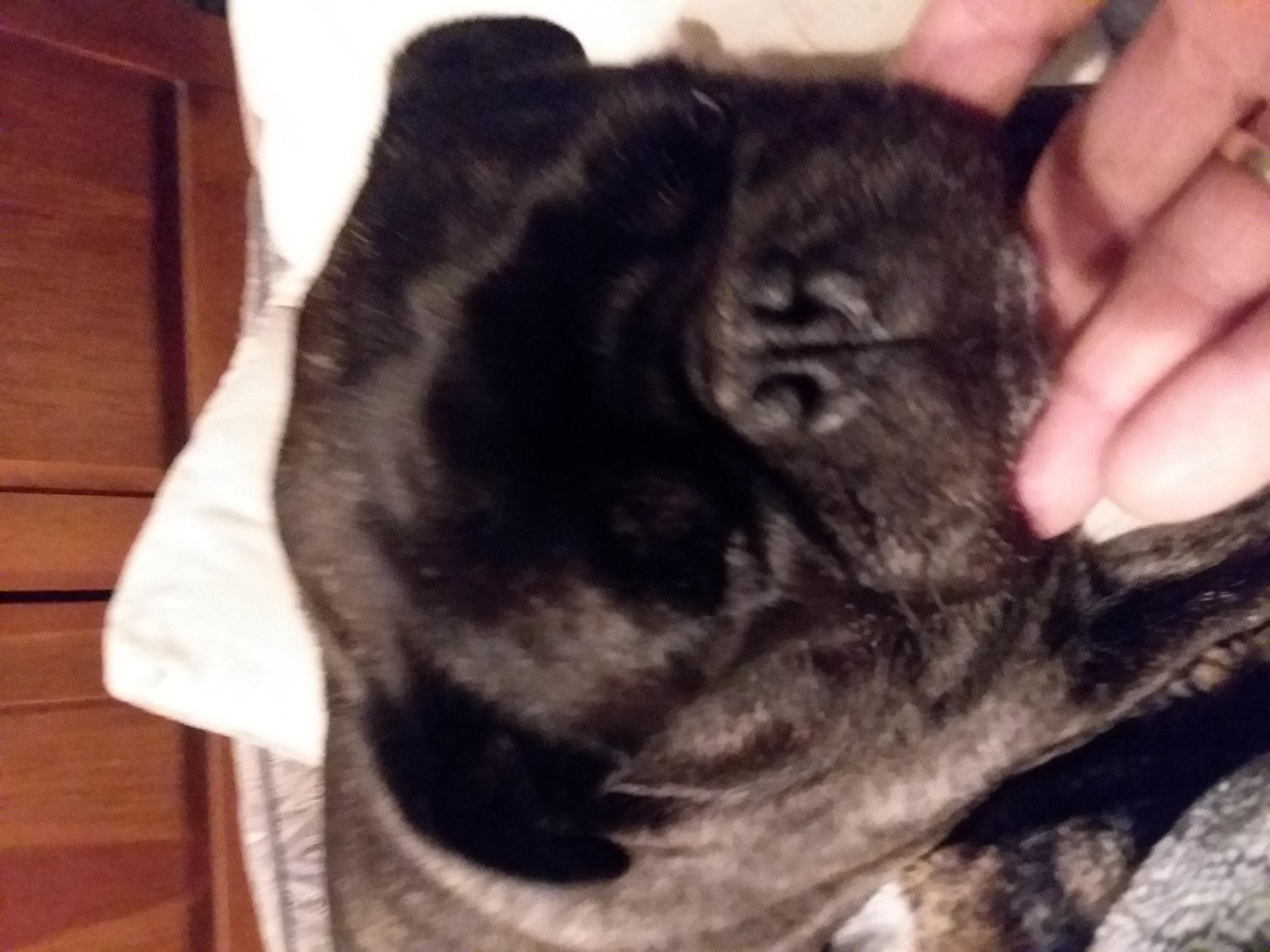 Question details sensitive content