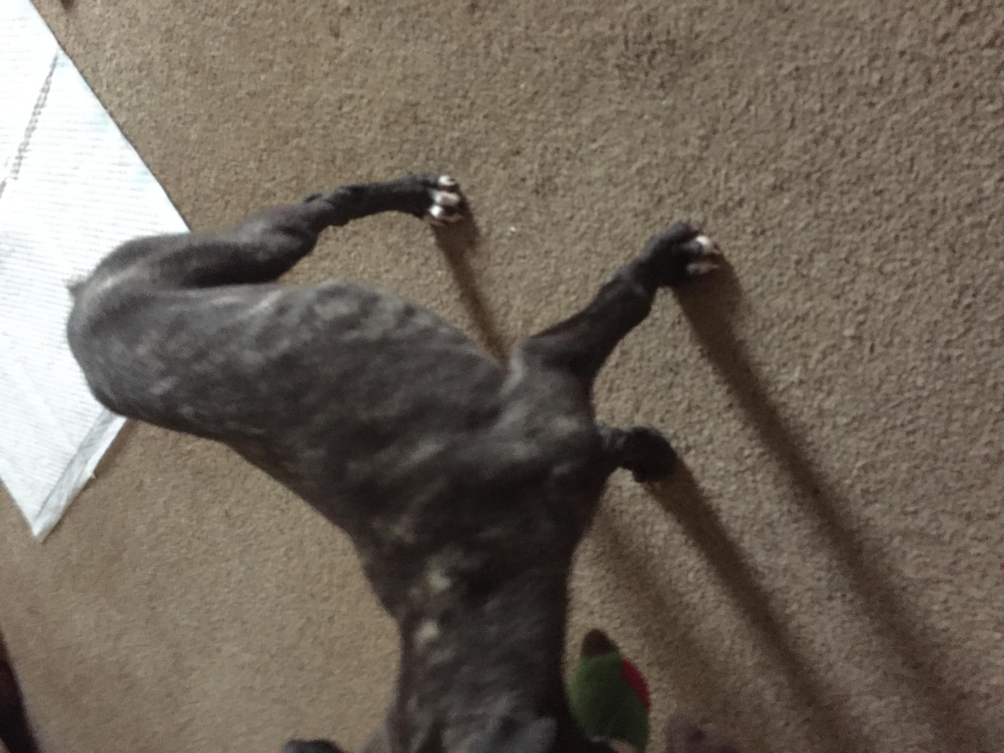 Question details sensitive content