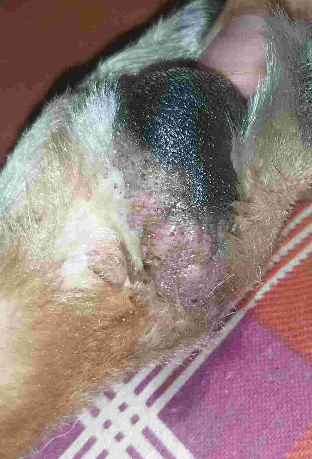 Question details sensitive content