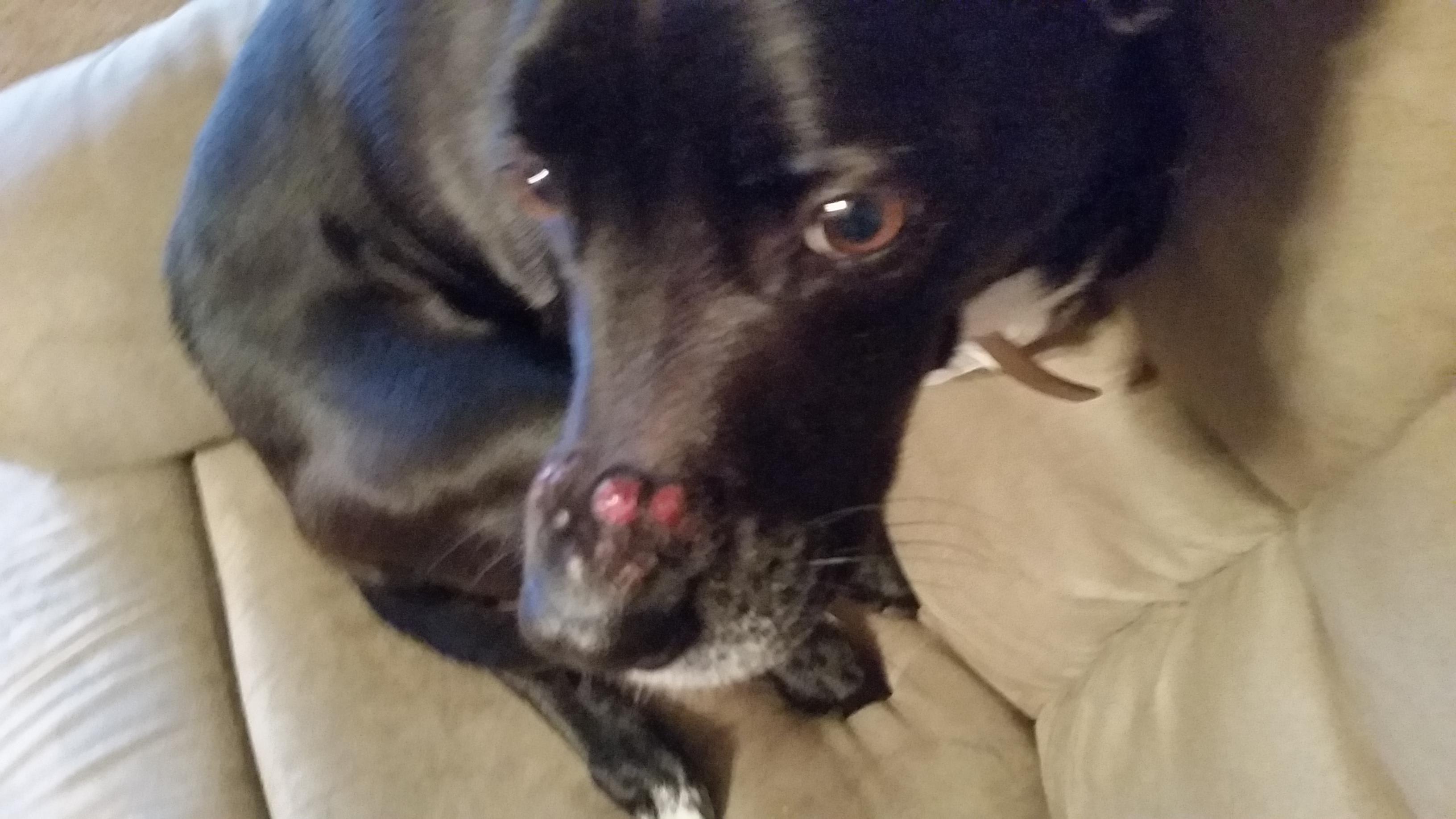 Question details sensitive content