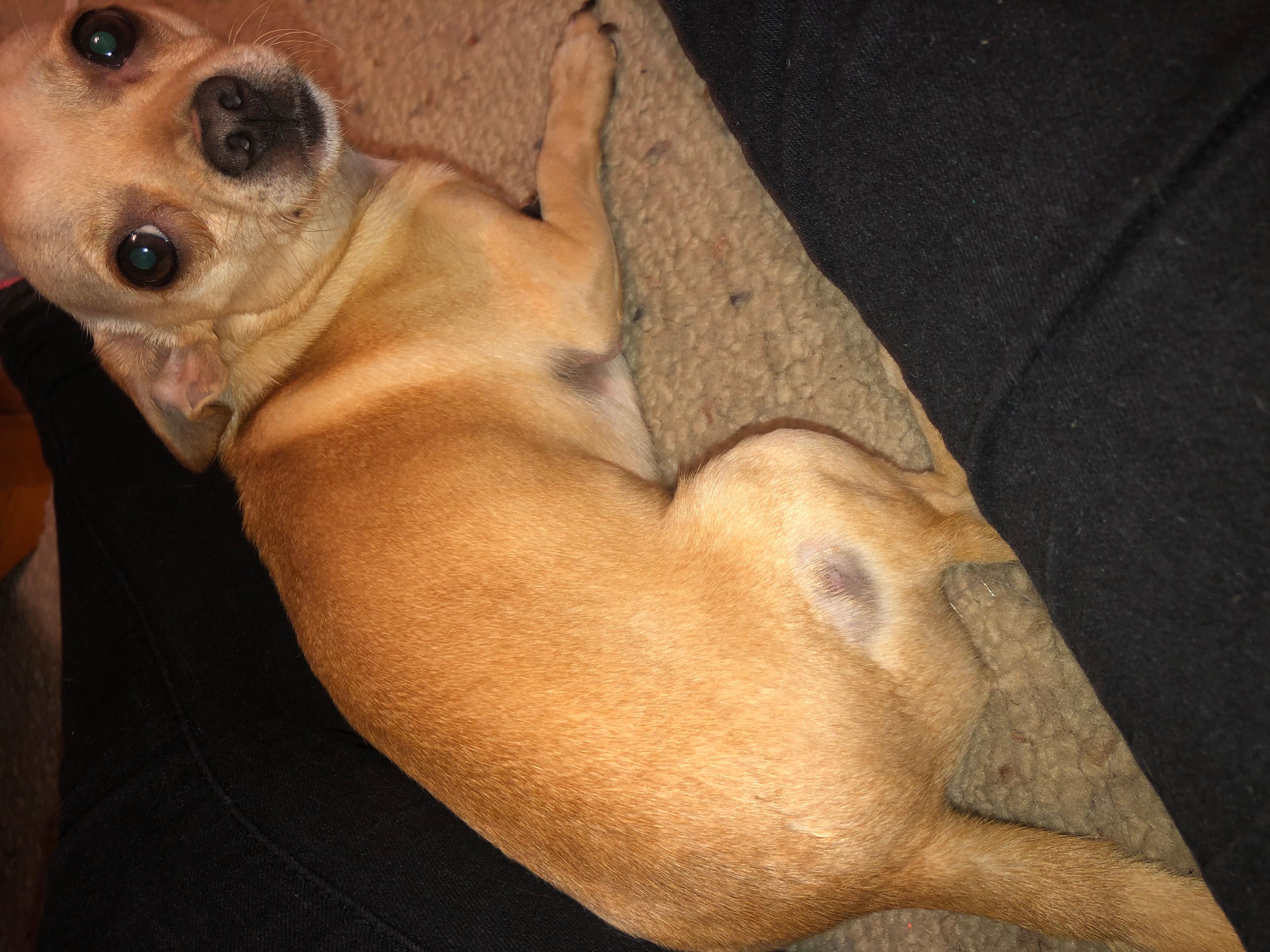 Question details sensitive content