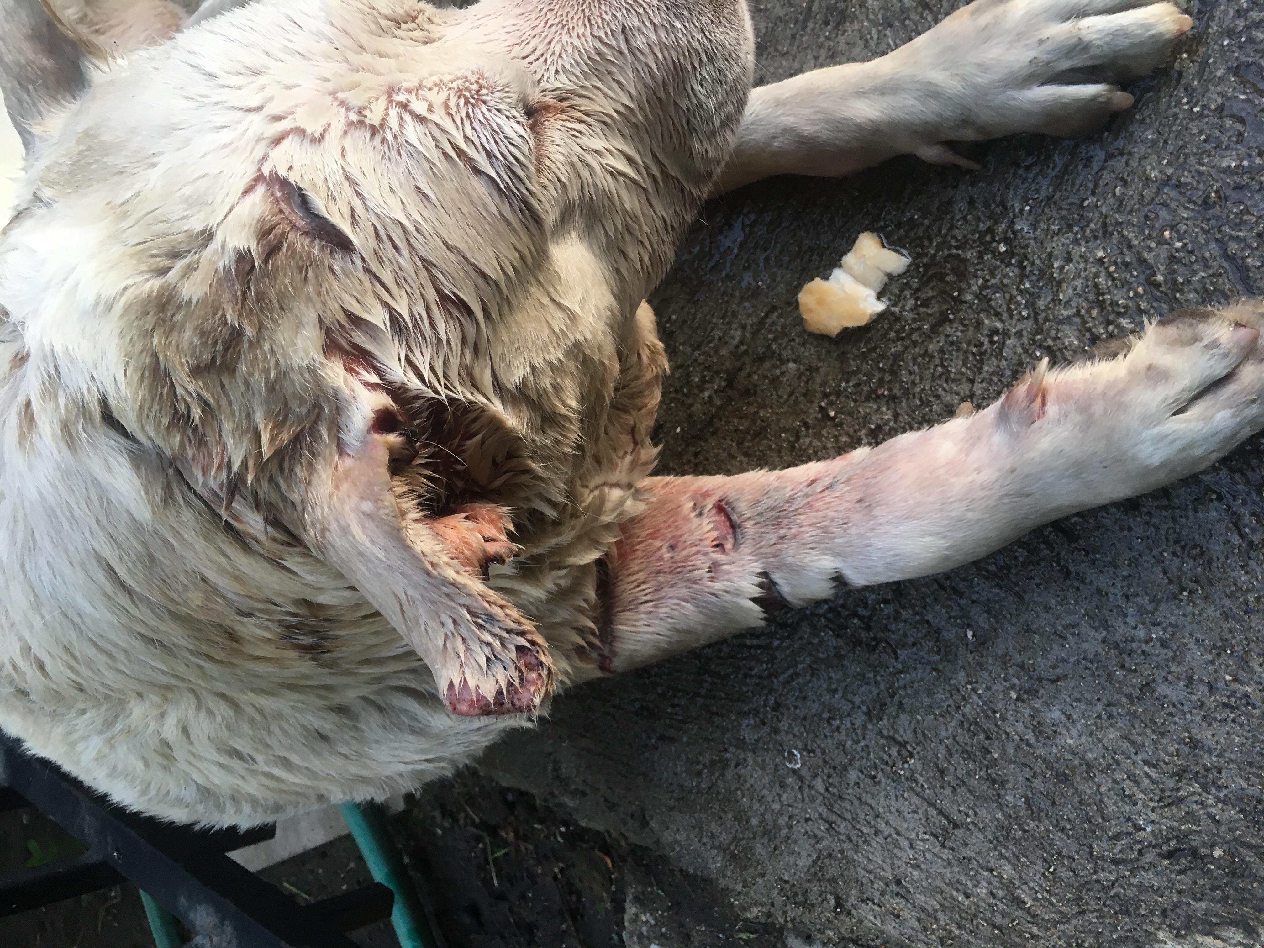 Question details sensitive content