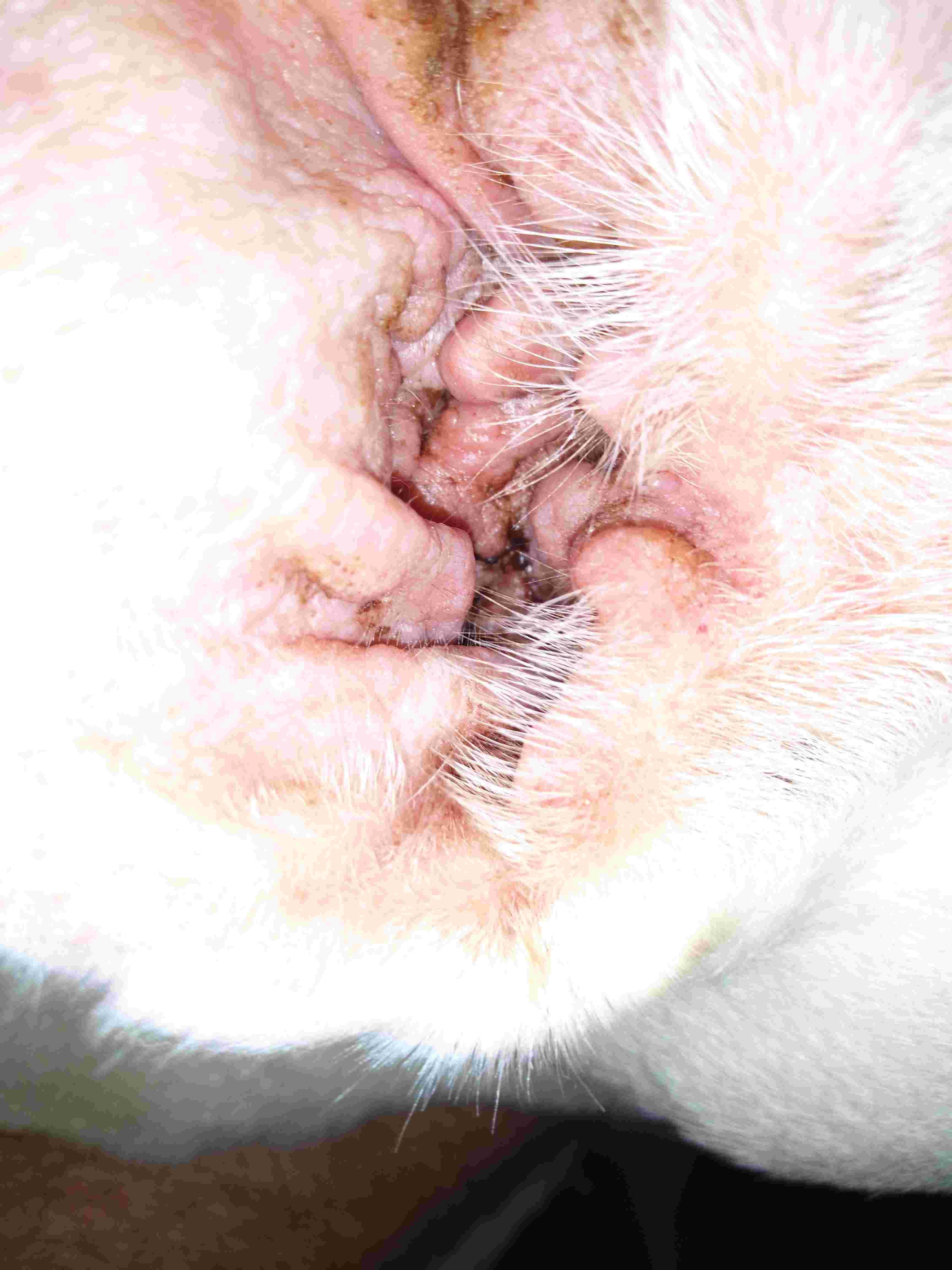 Question details sensitive content