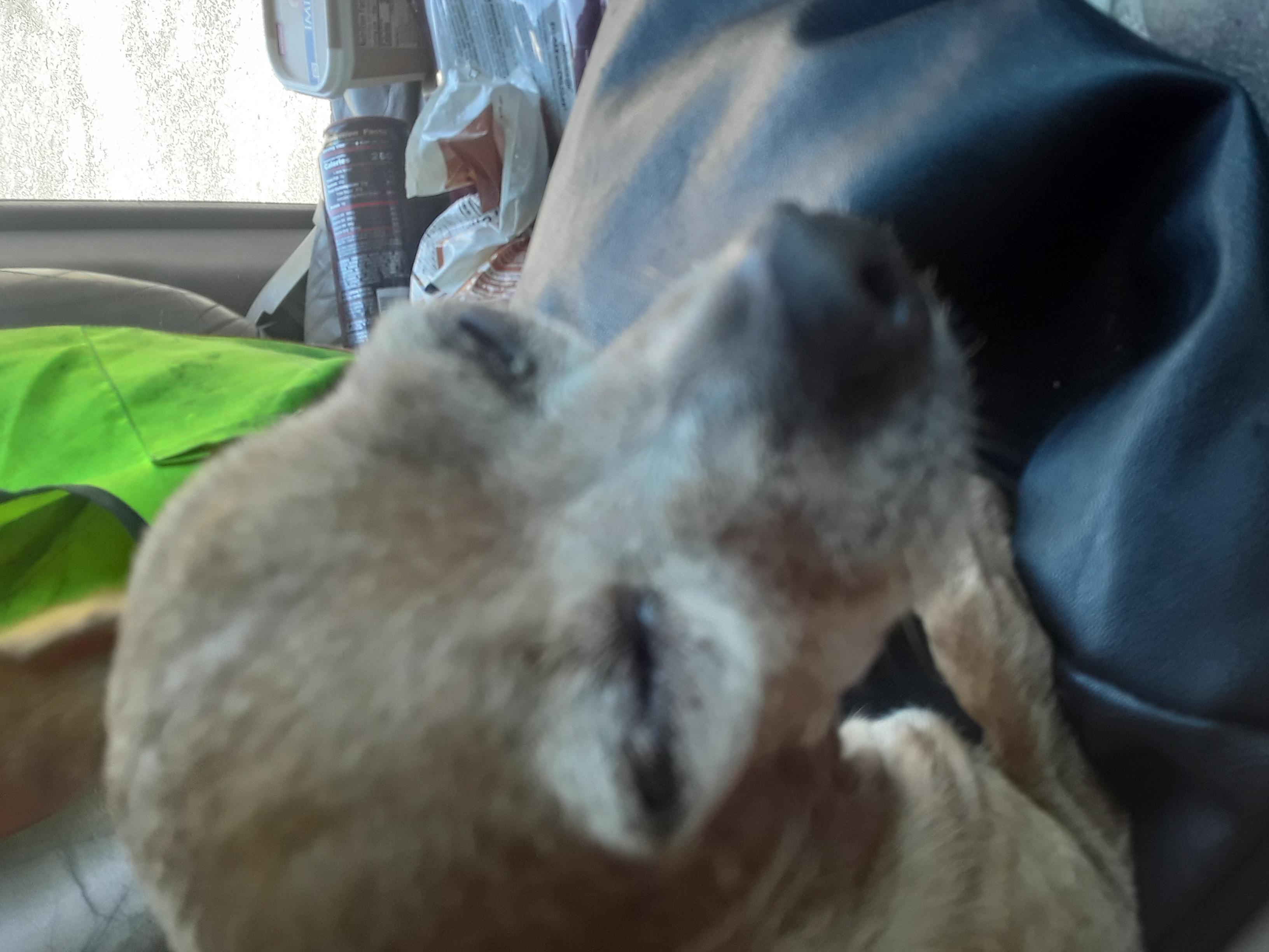 Question details sensitive content