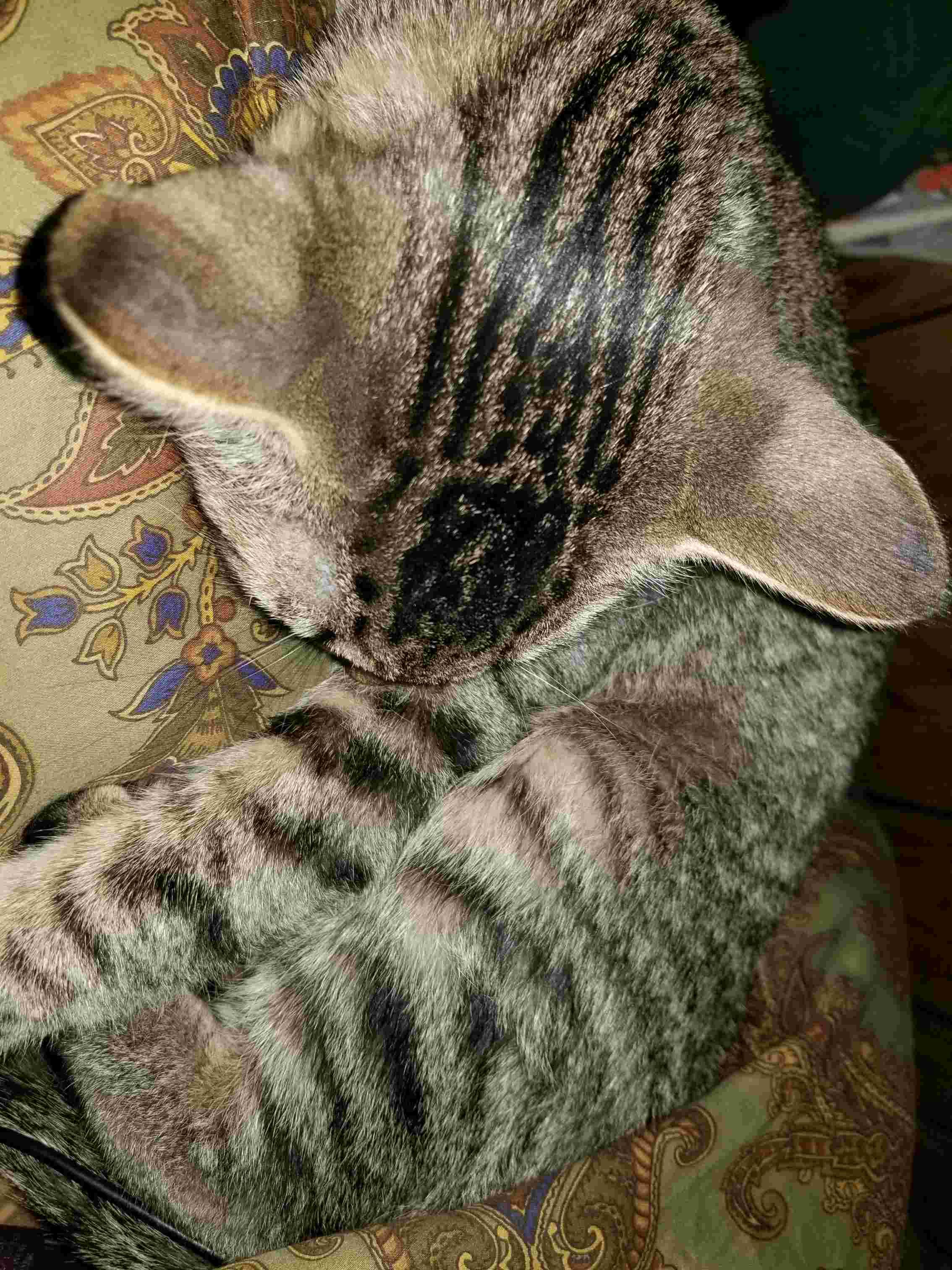 Question details sensitive content