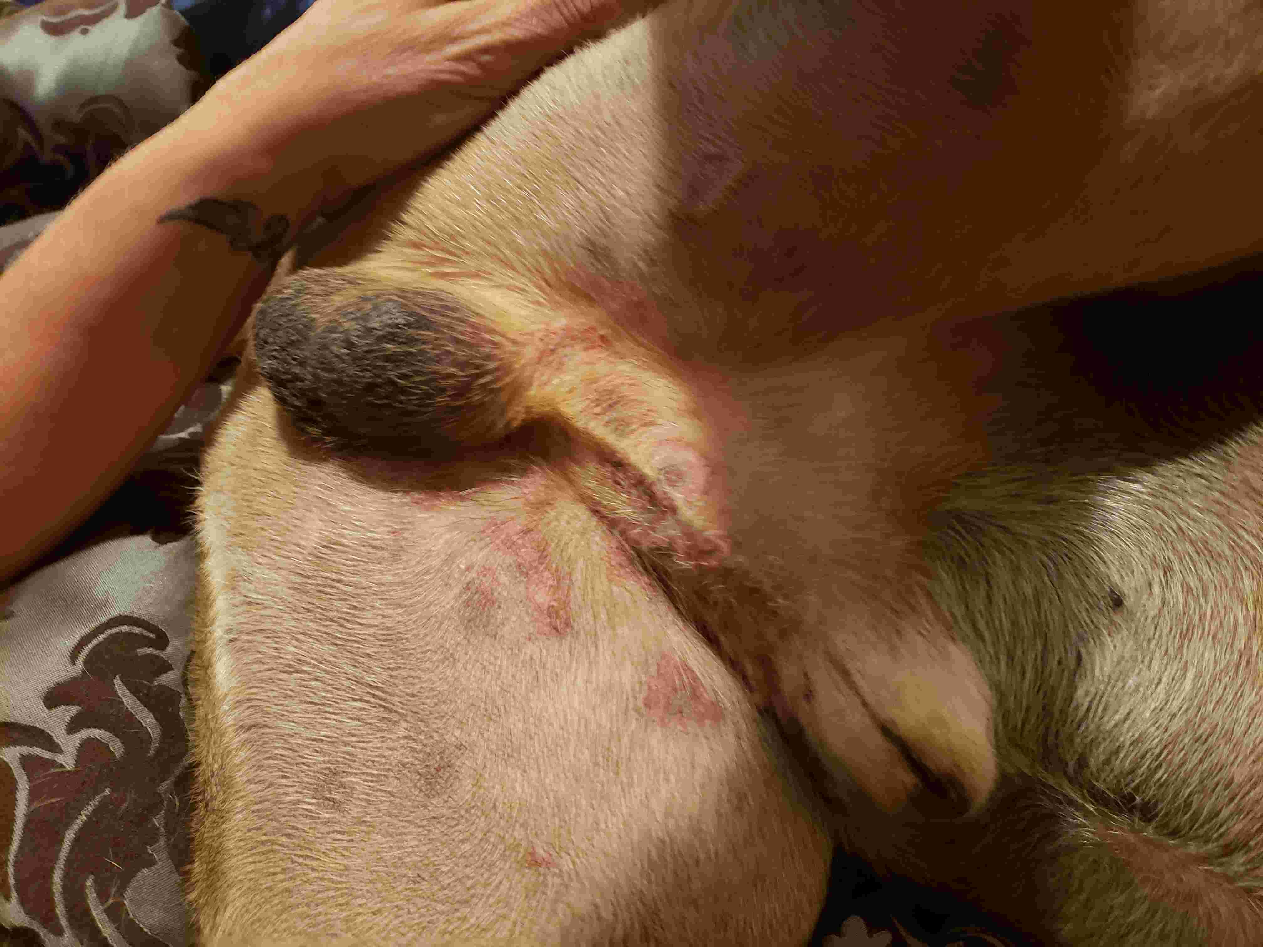 Question details sensitive content