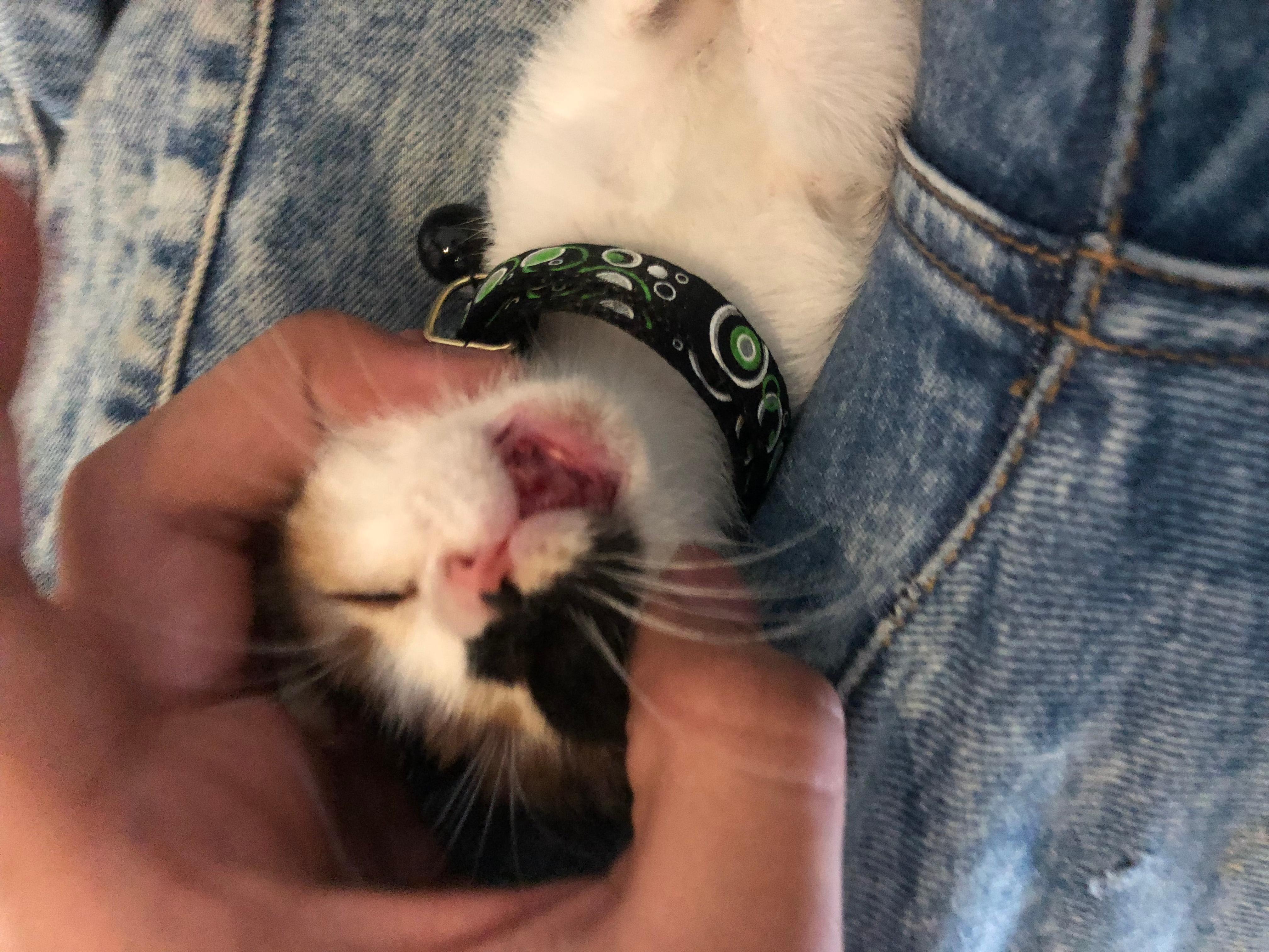 Question details sensitive content