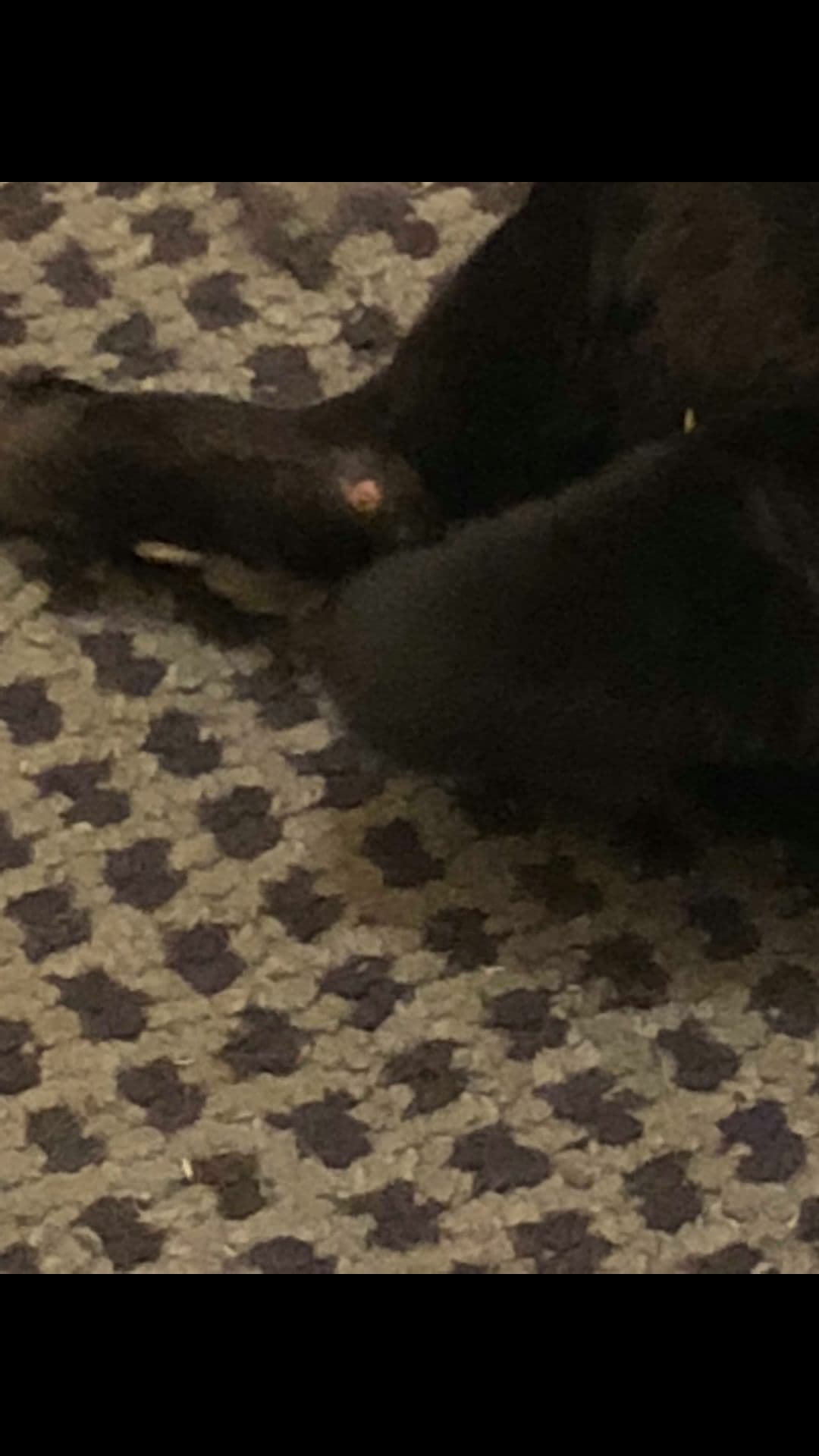 Question details sensitive content