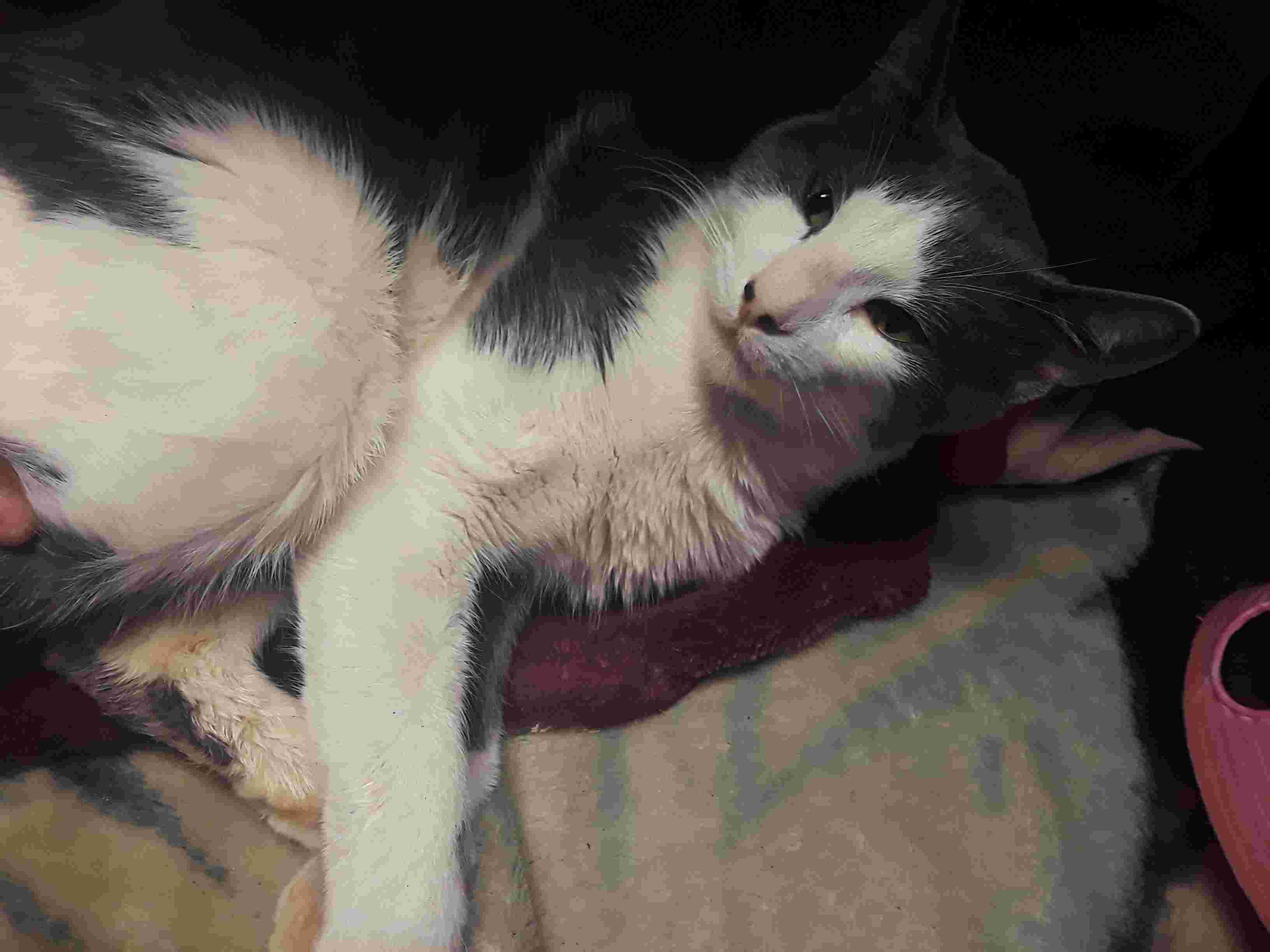 Question details sensitive content