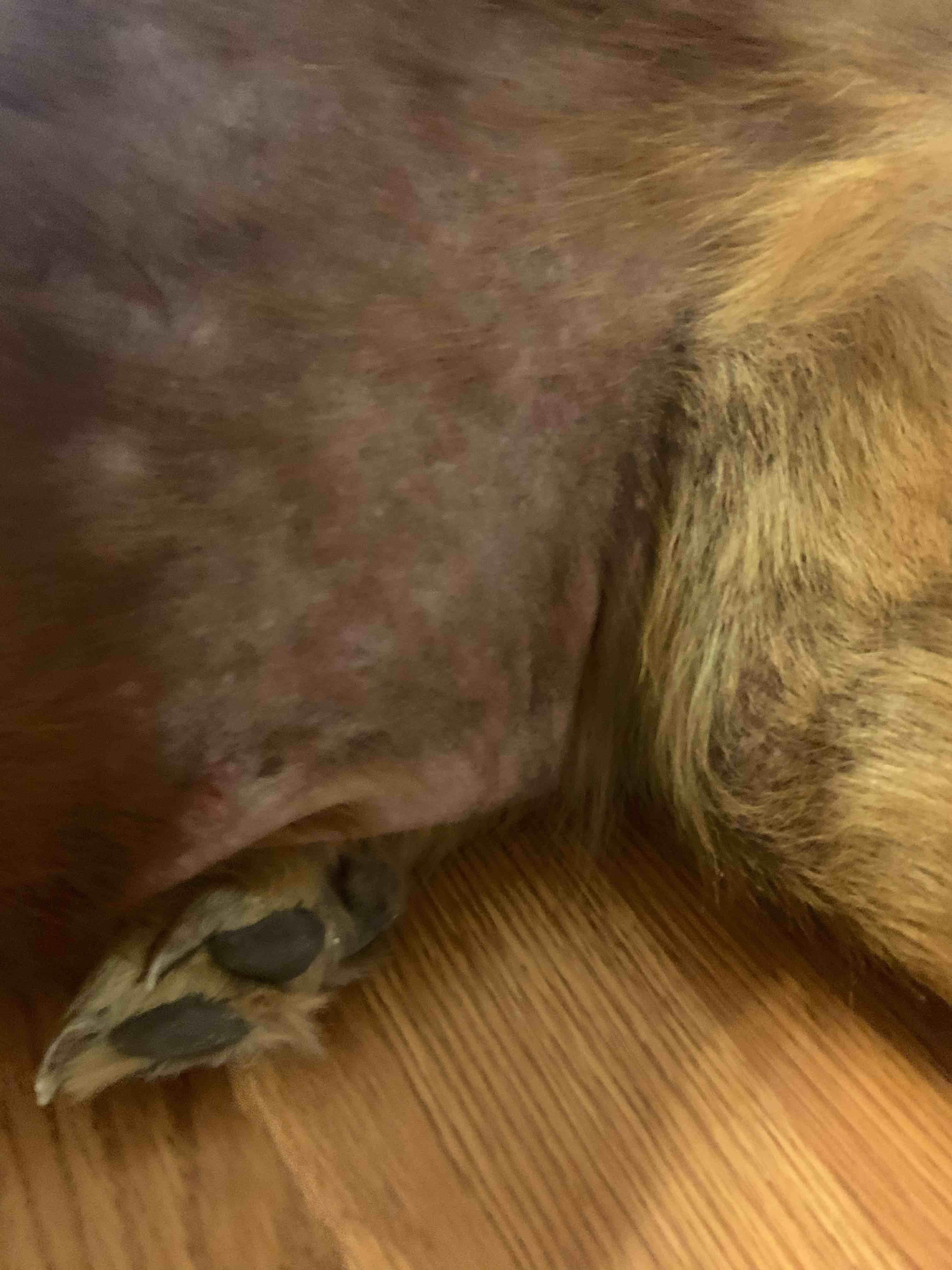 Question details sensitive content