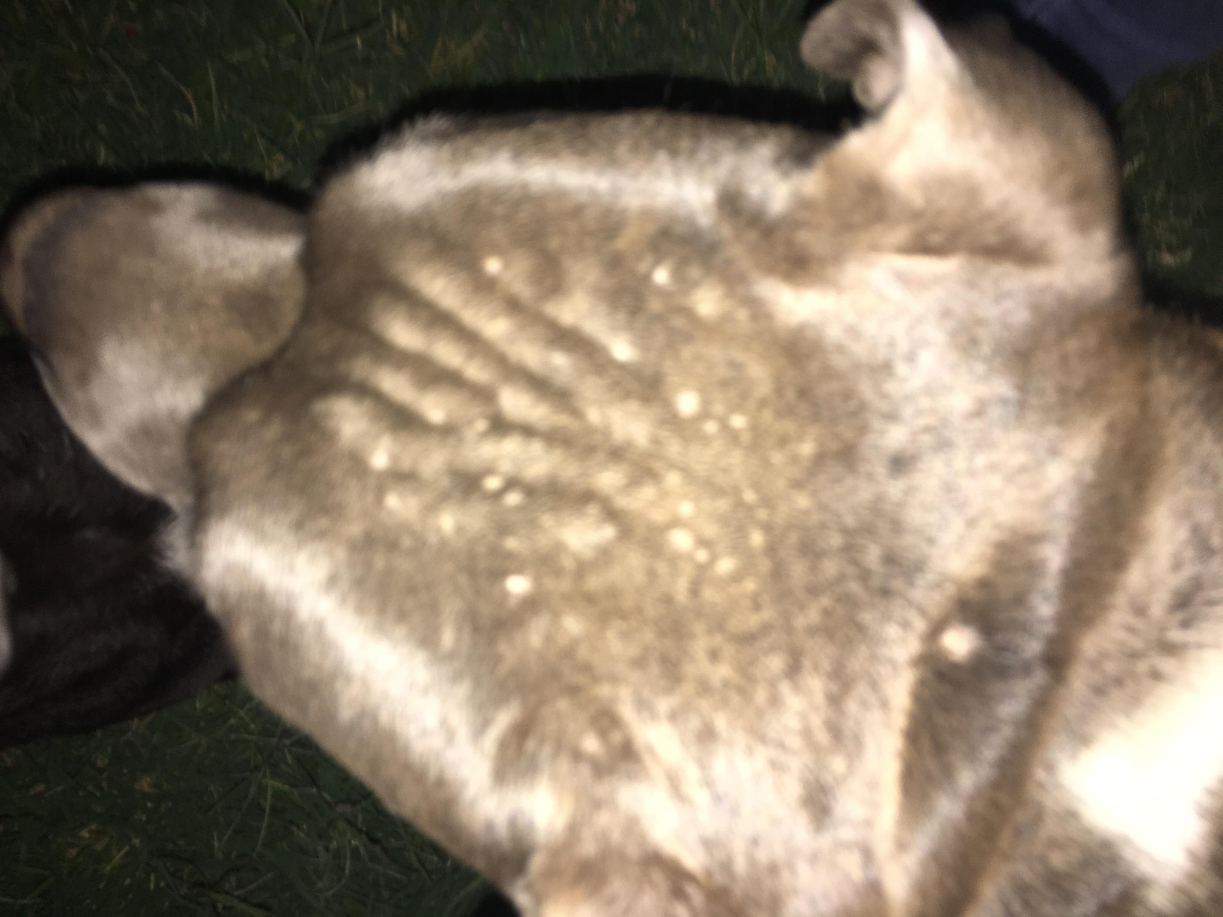 Question details sensitive content