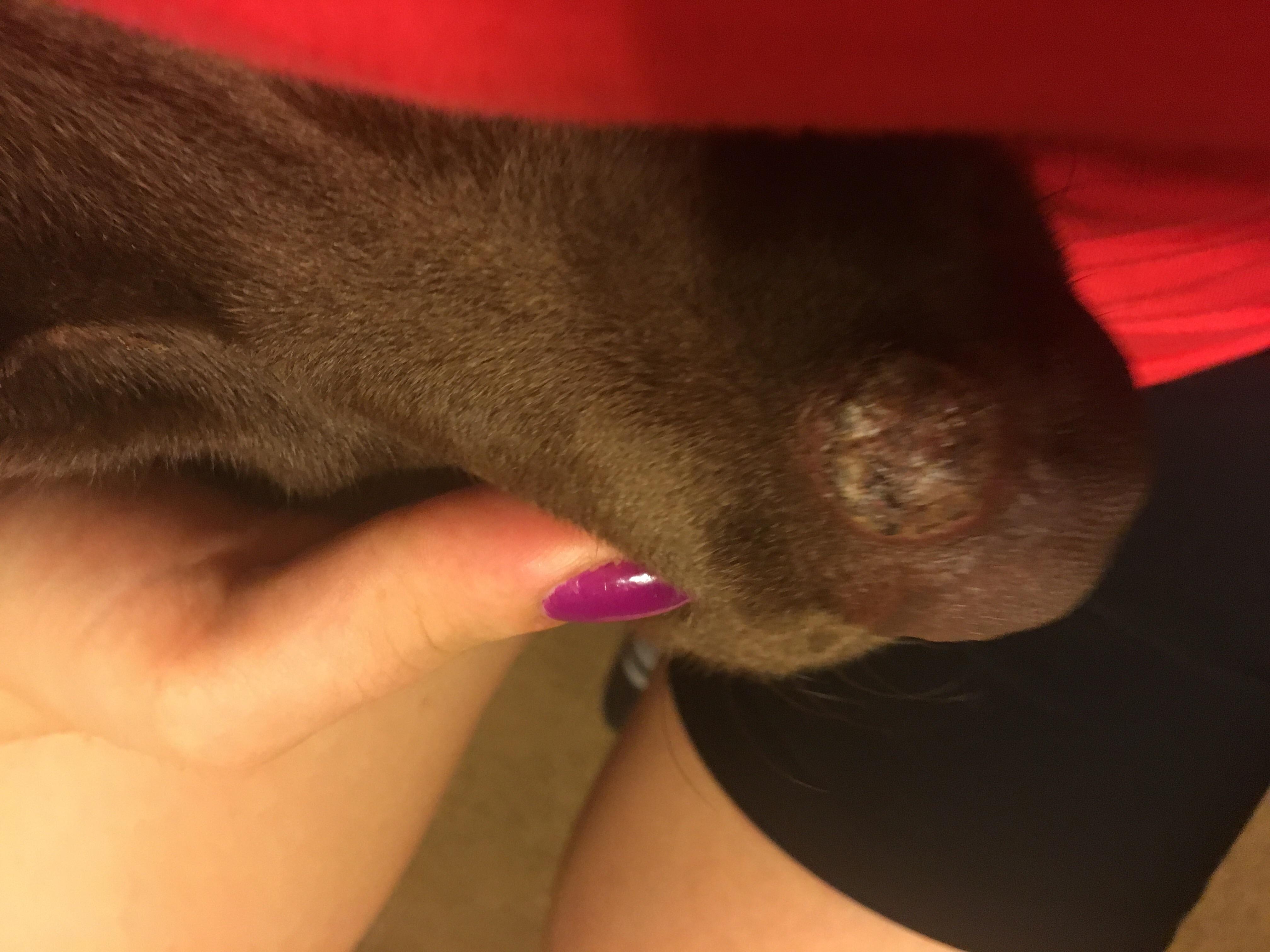 Question details sensitive content