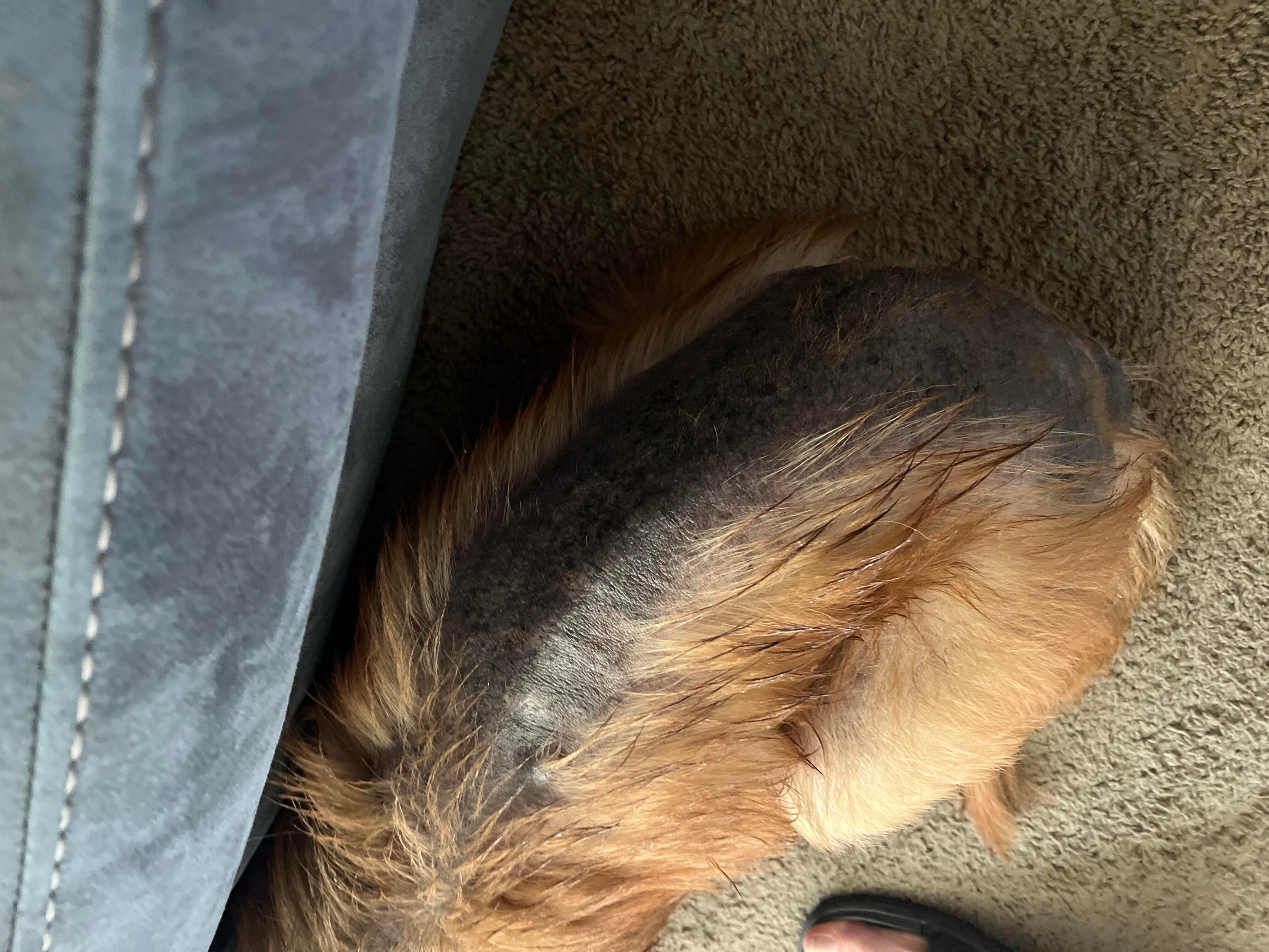 Question details sensitive content