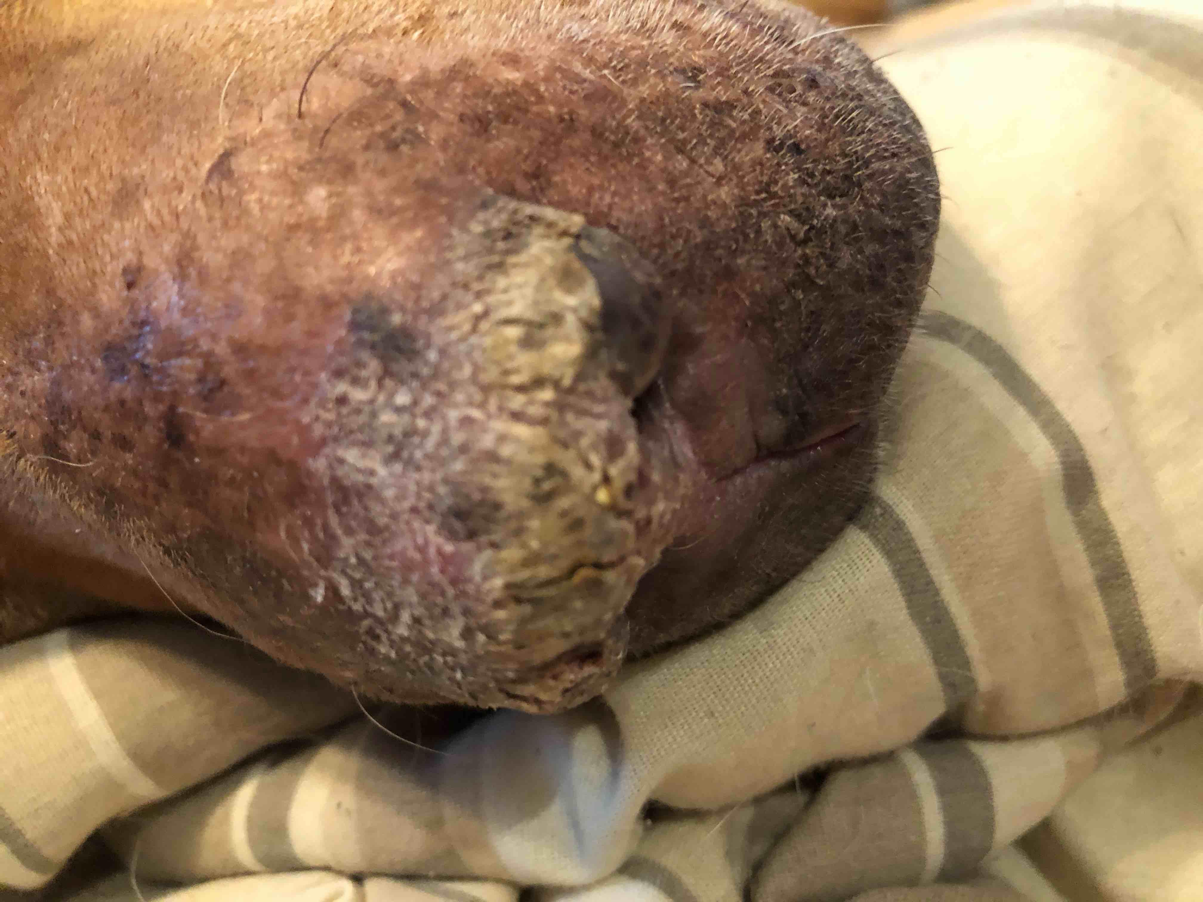 Question details sensitive content