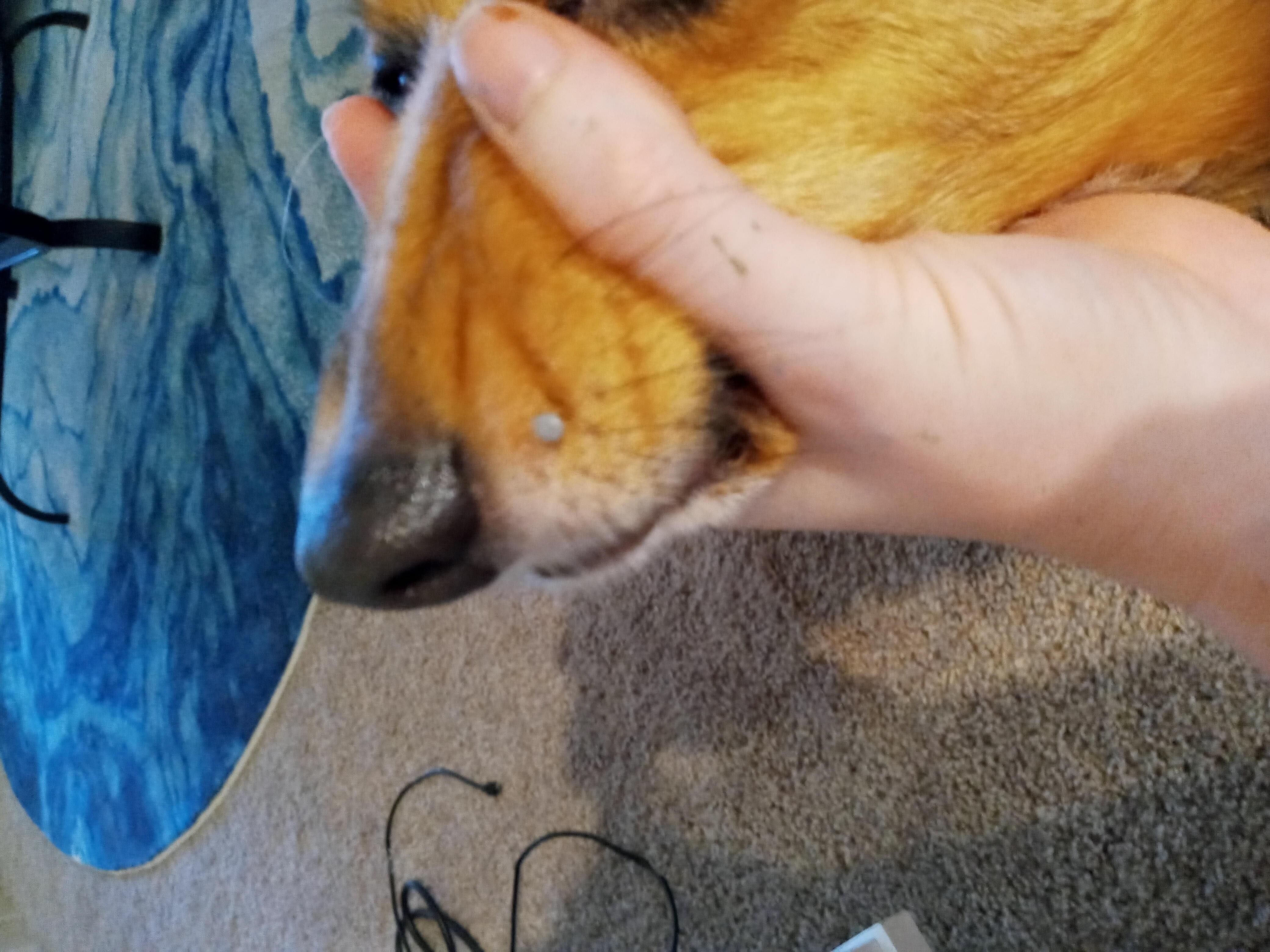 Question details sensitive content