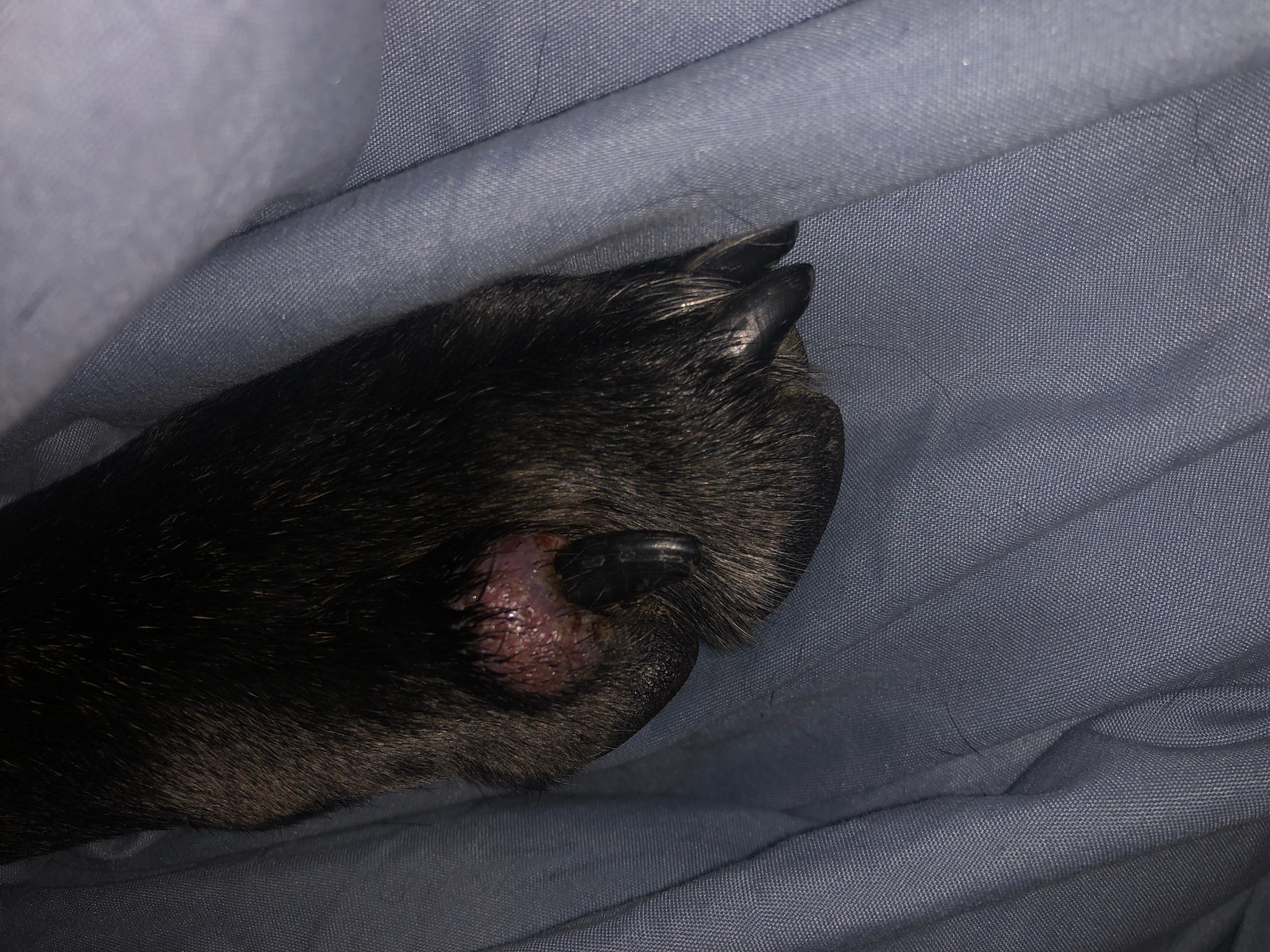 Question details sensitive content