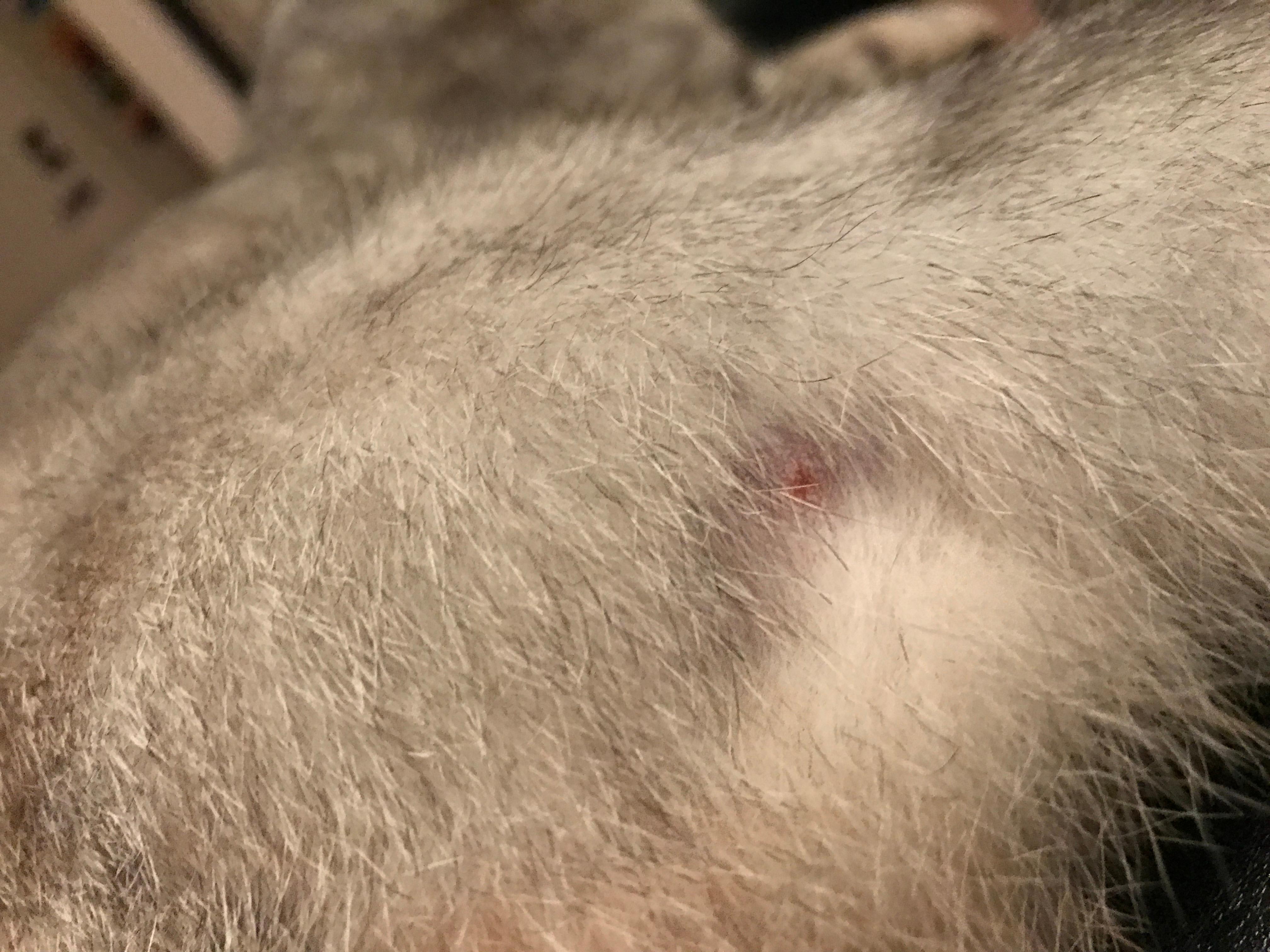 Question details sensitive content