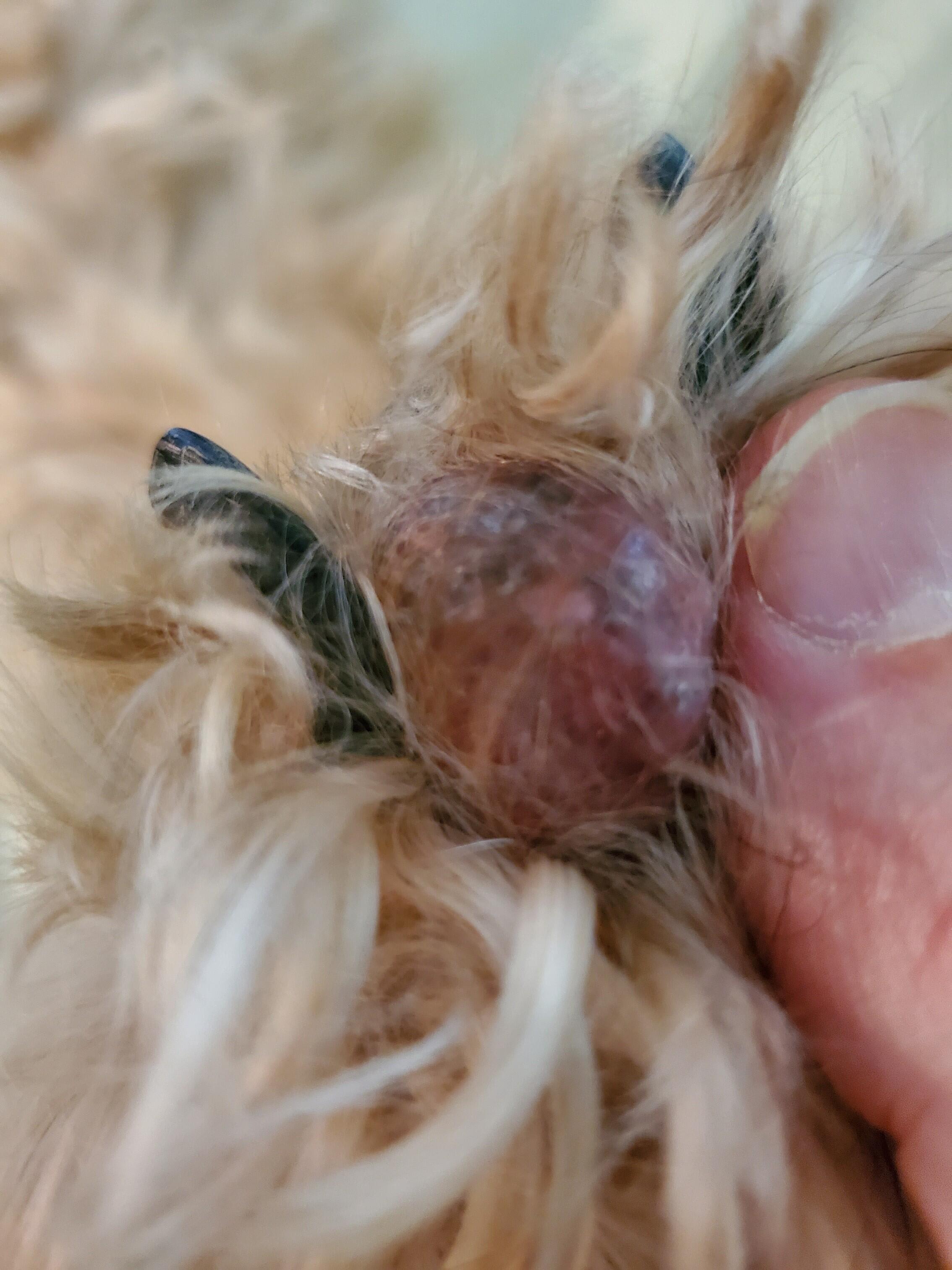 Question details sensitive content