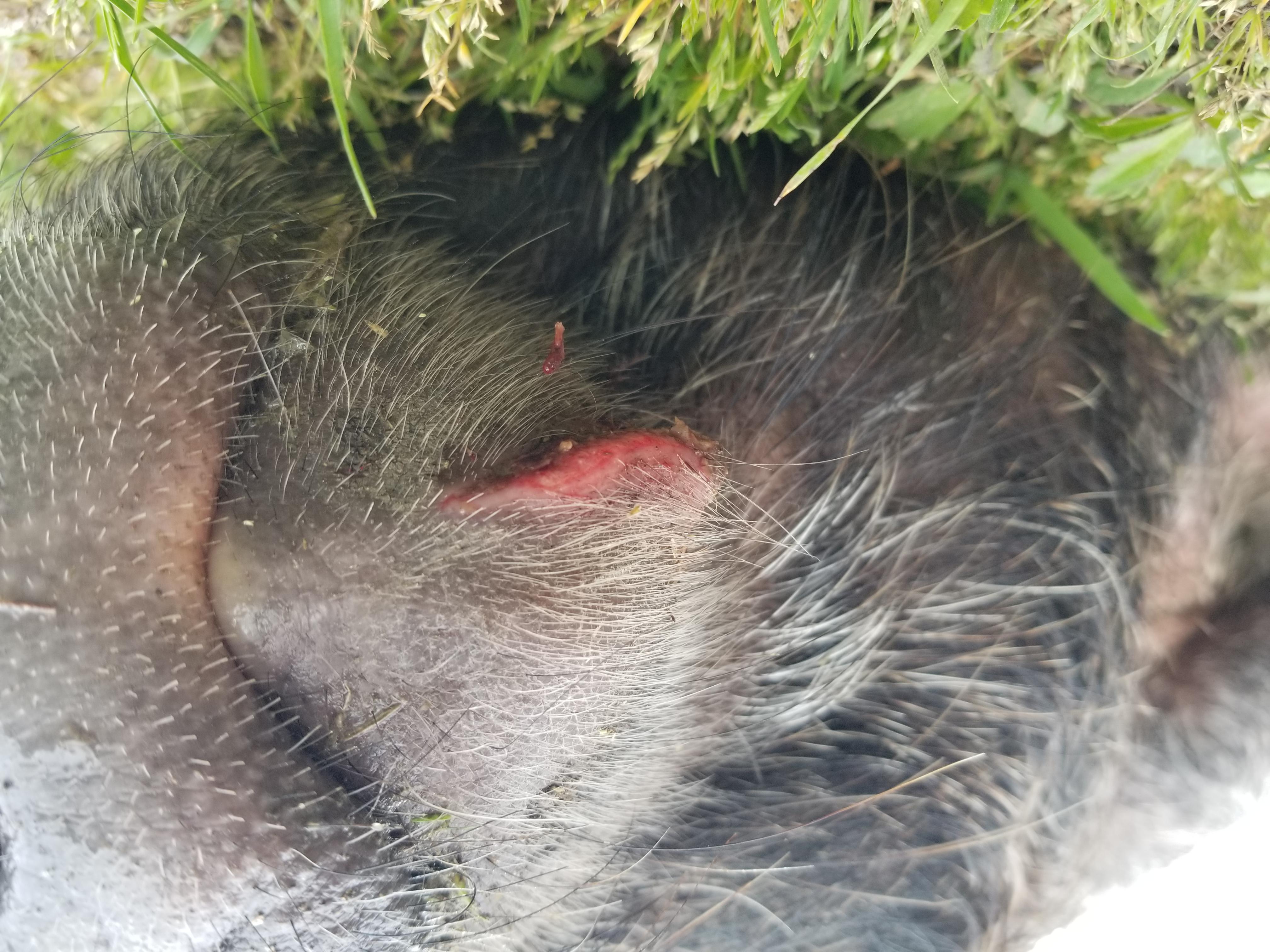 Question details sensitive content