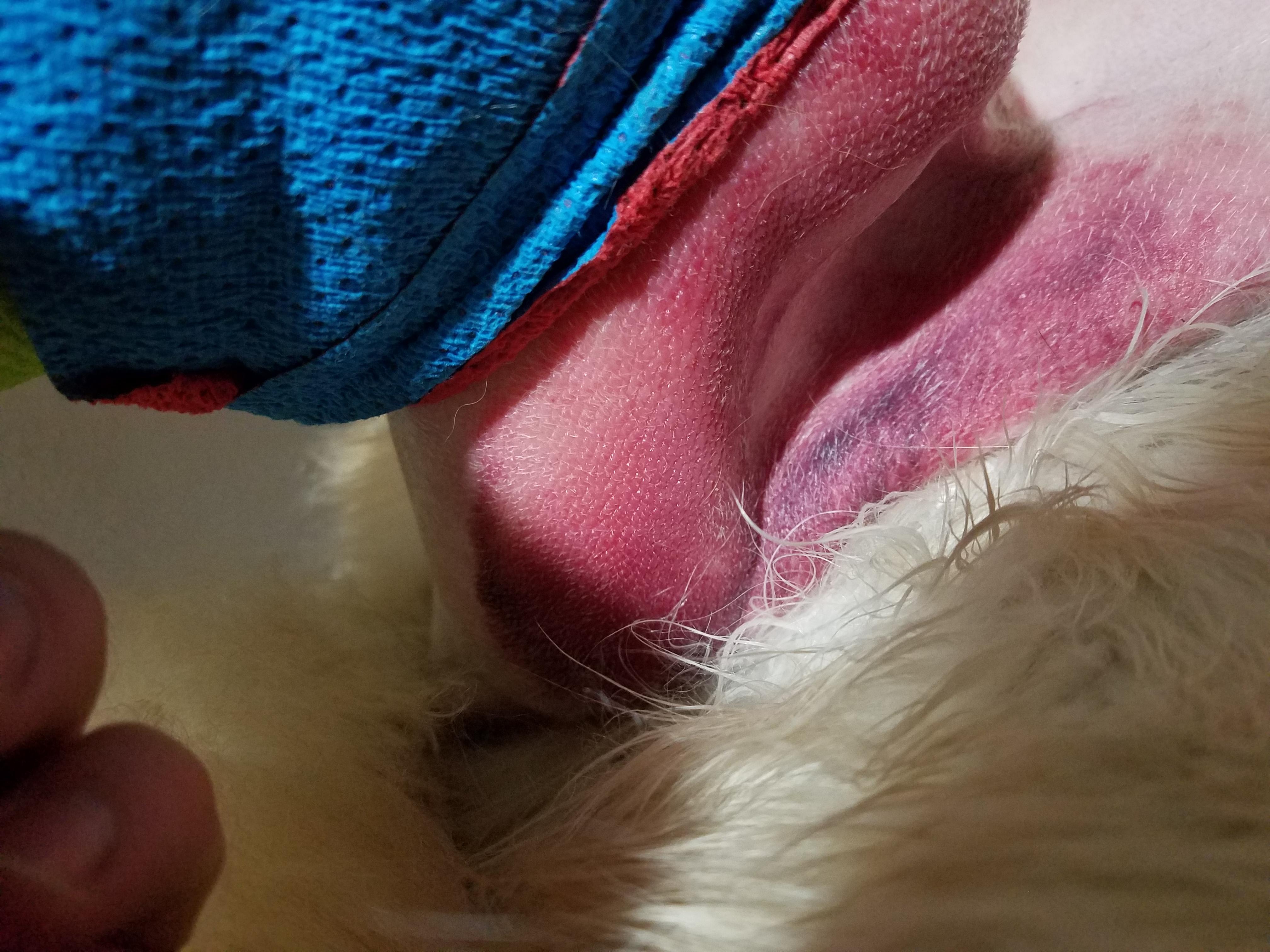 Question details sensitive content