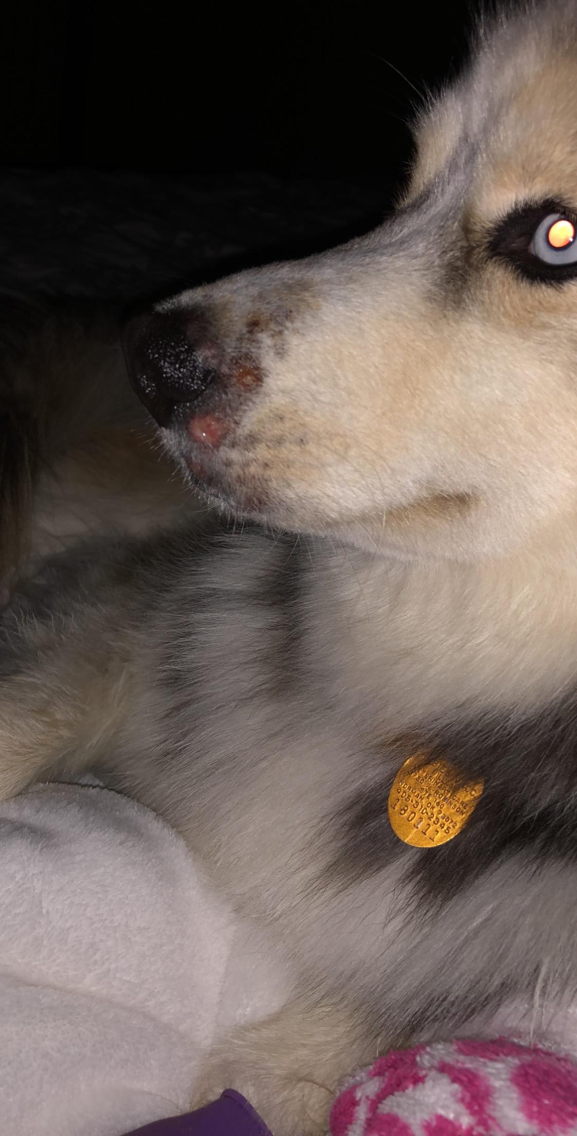 Question details sensitive content