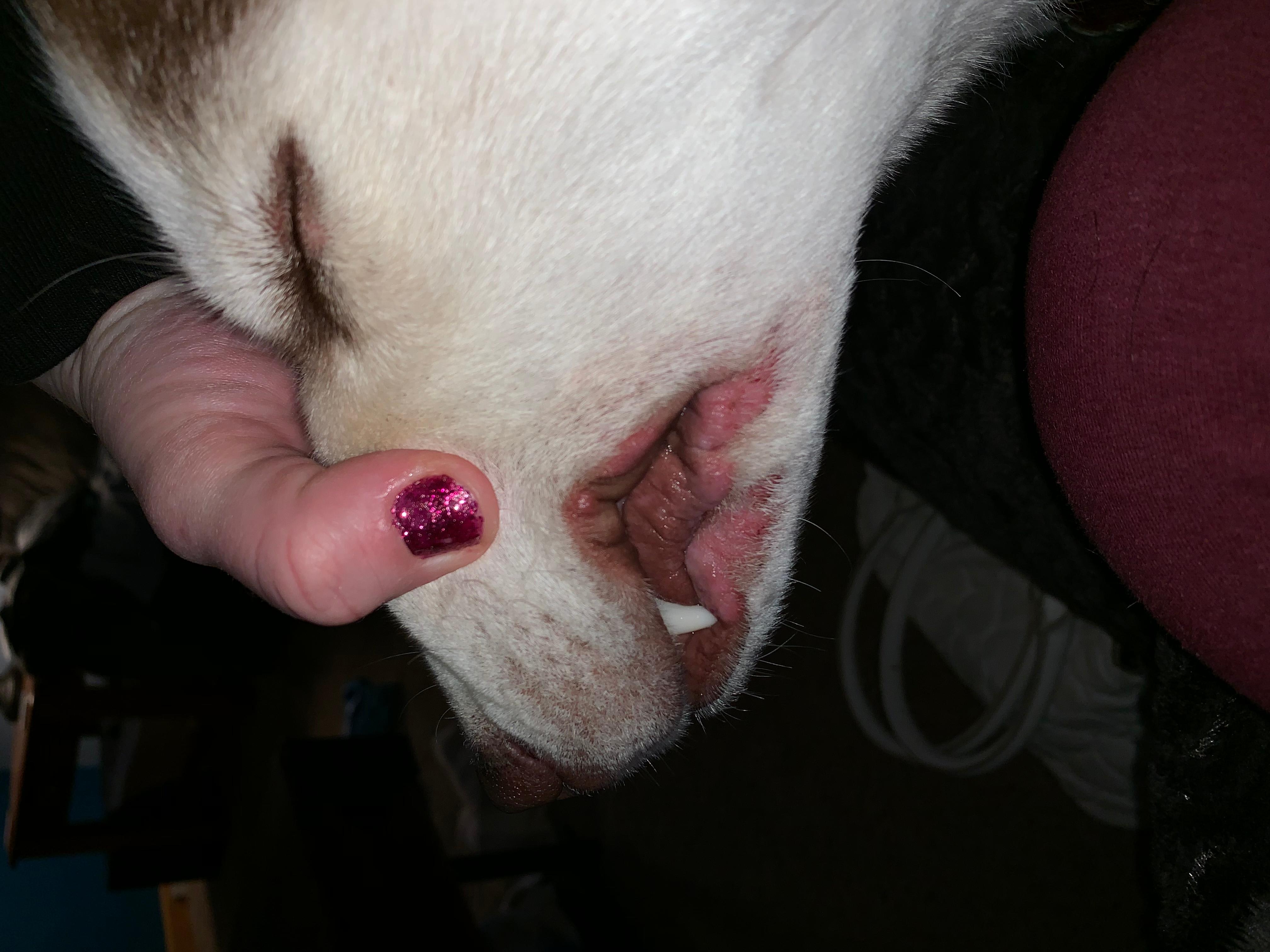 Question details sensitive content