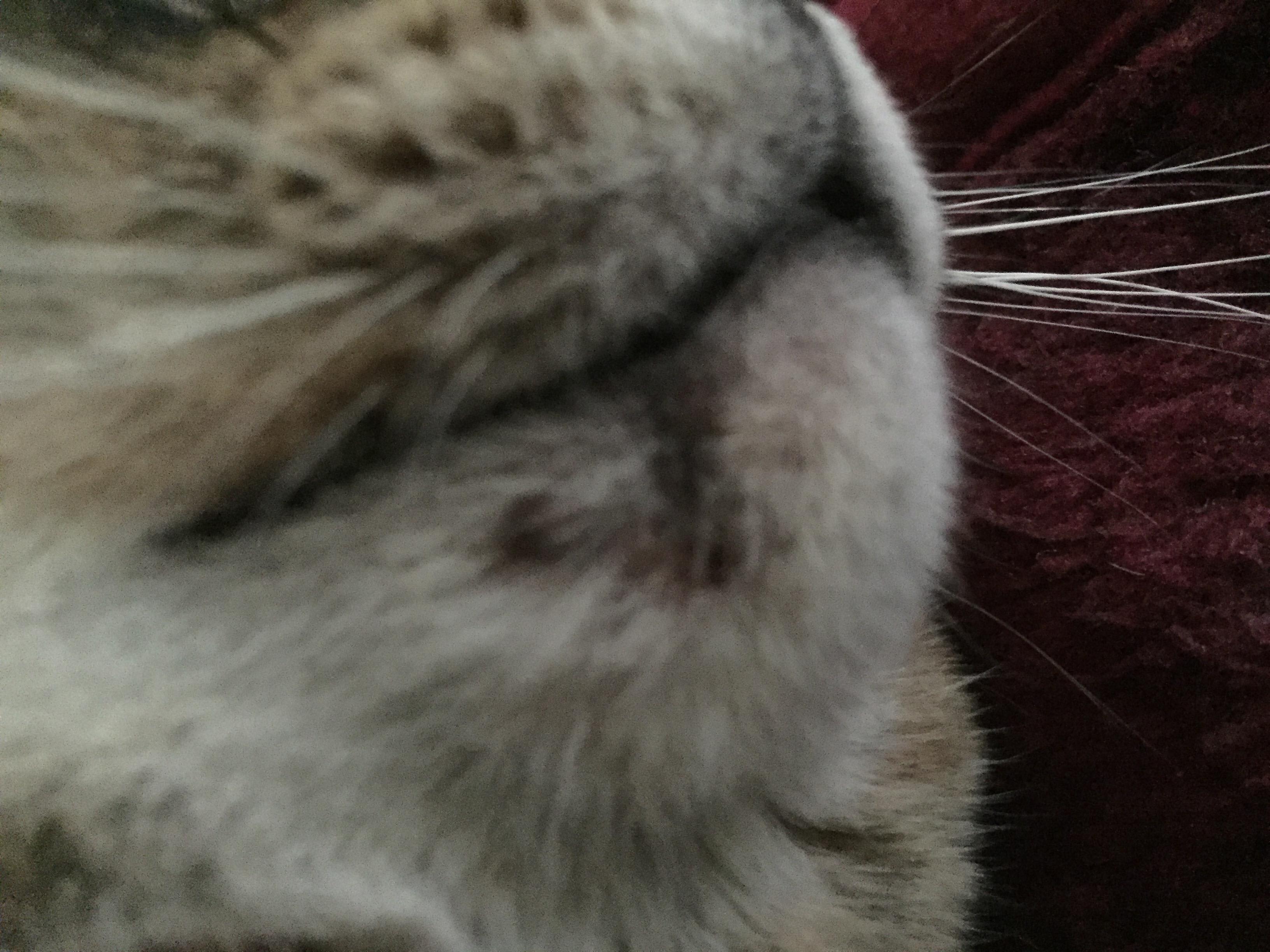 Question details sensitive content