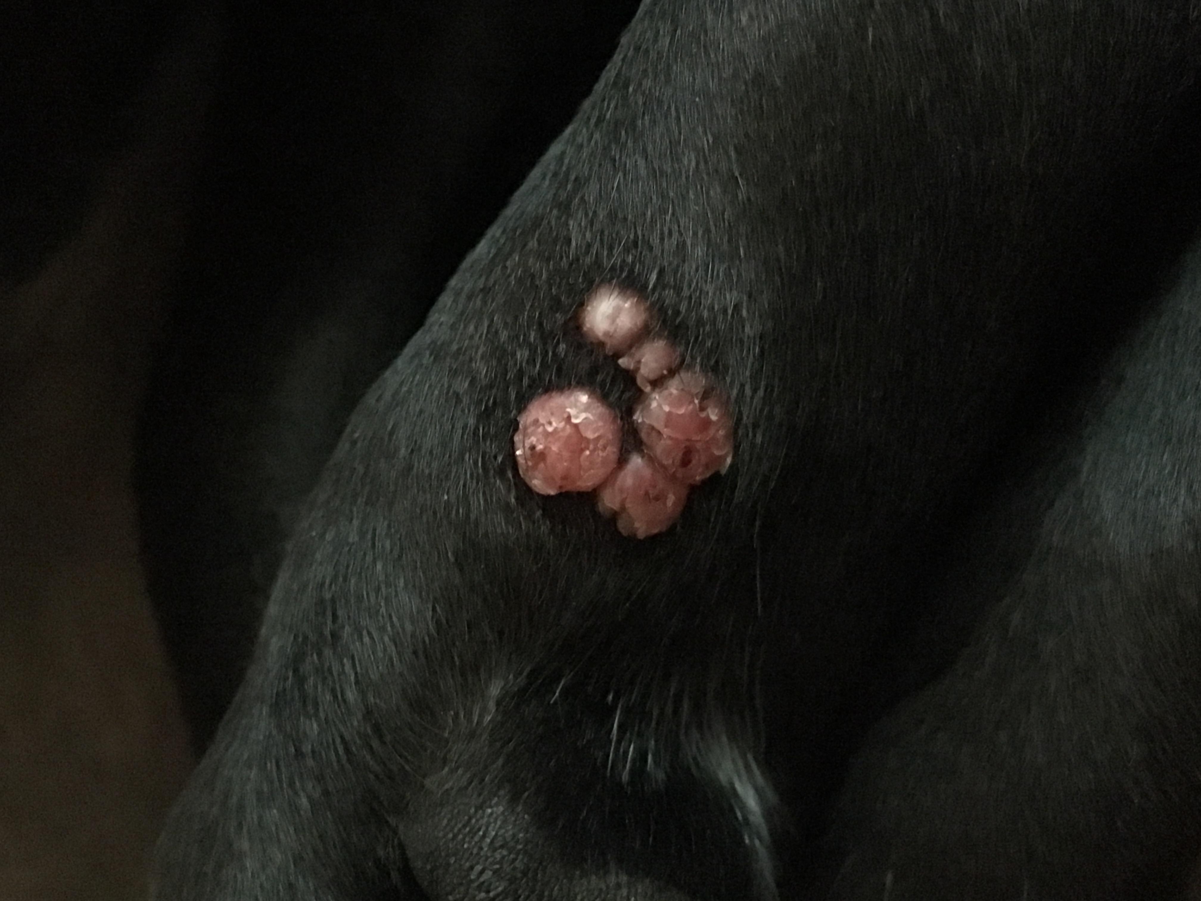 Question details sensitive content