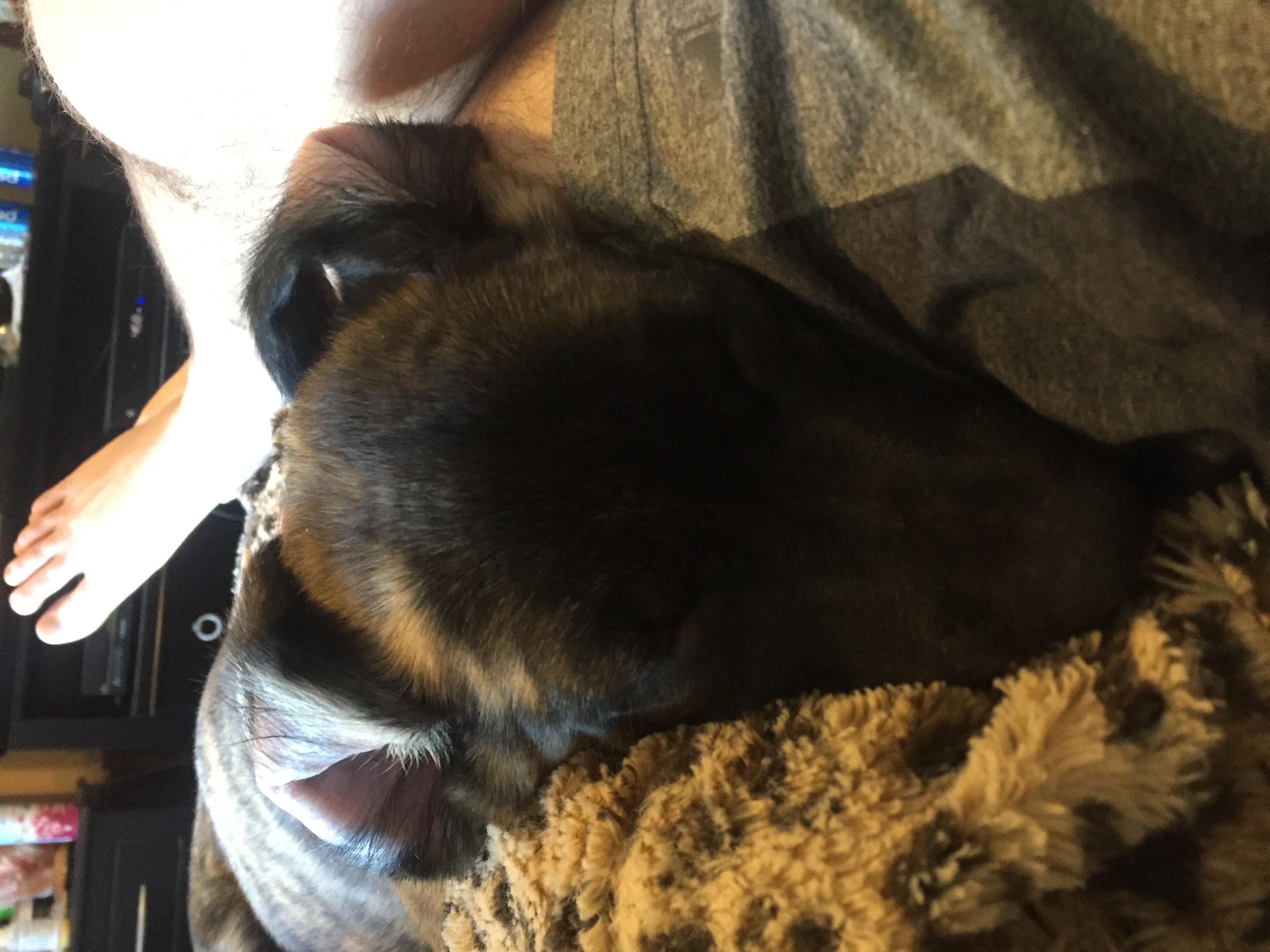 Question details sensitive content