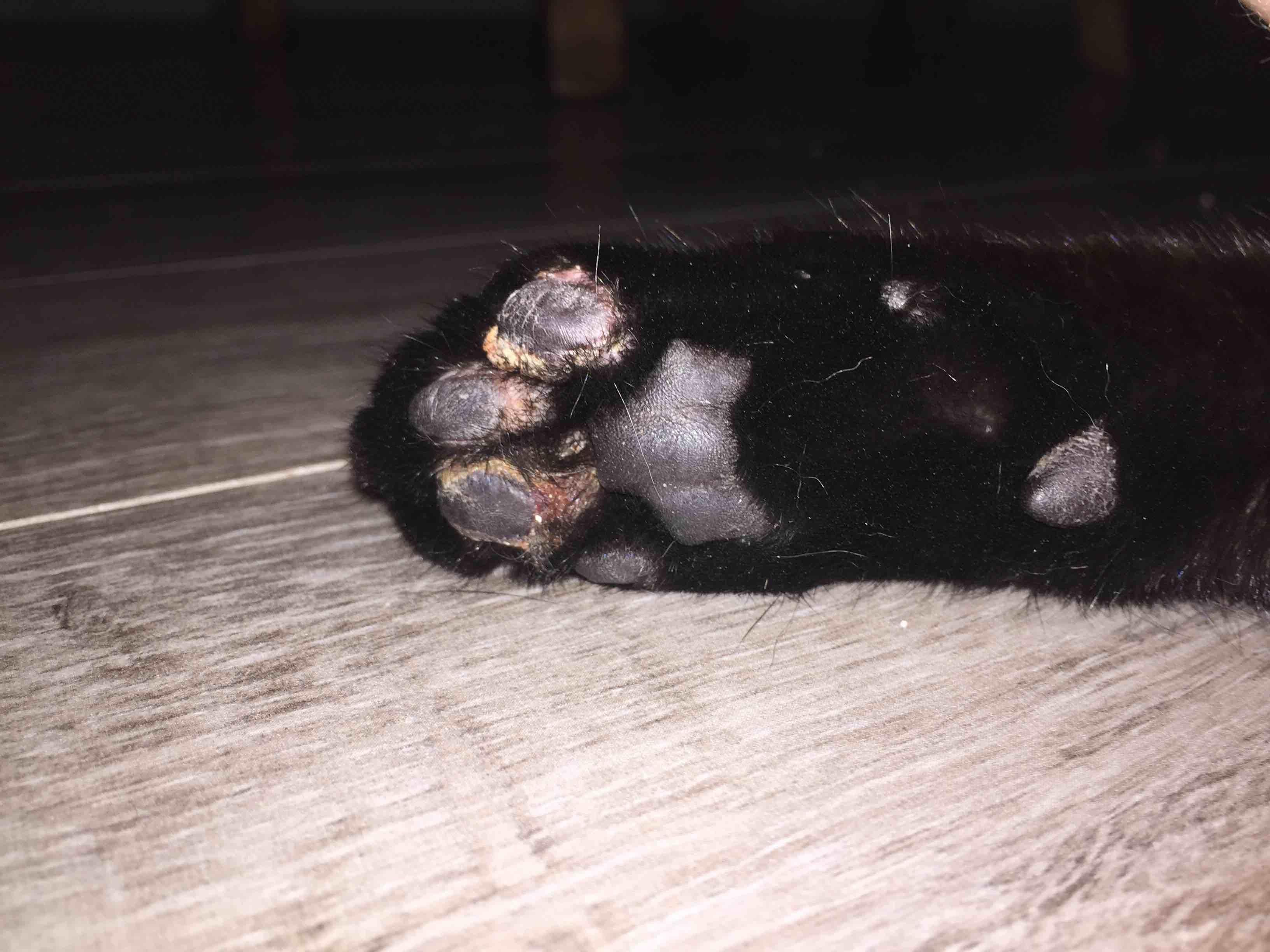 Question details sensitive content