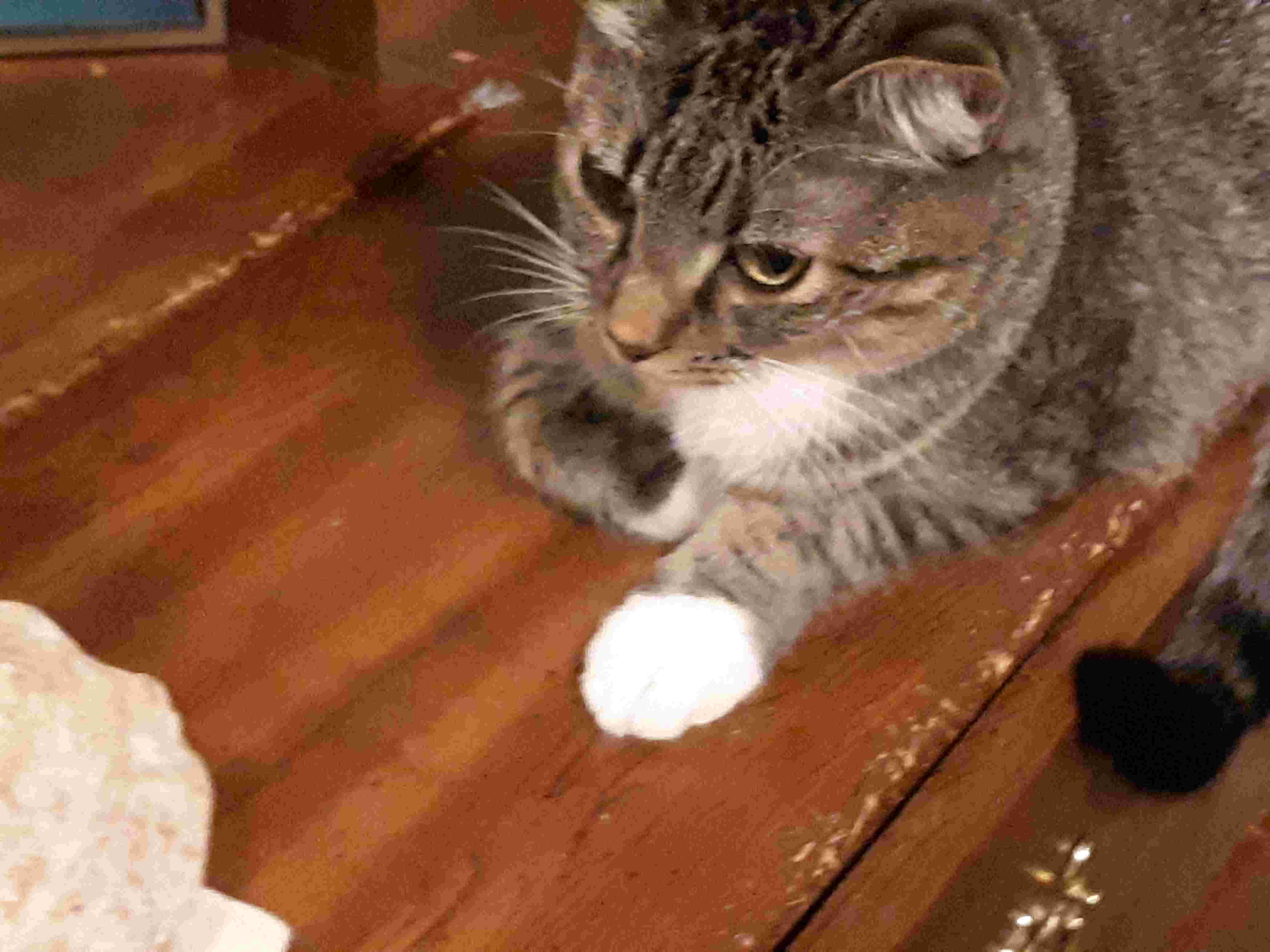 Question details sensitive content