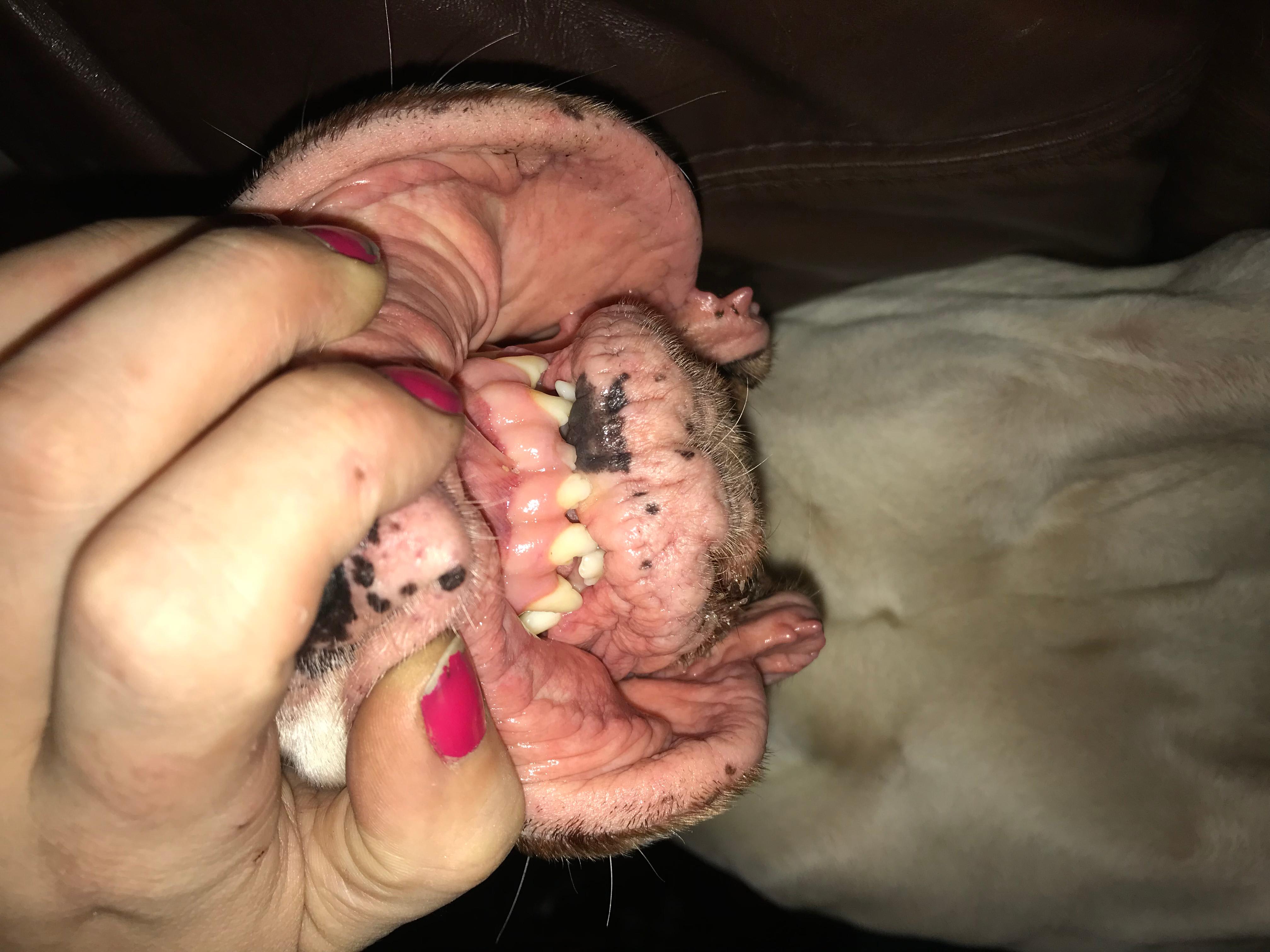 Question details sensitive content