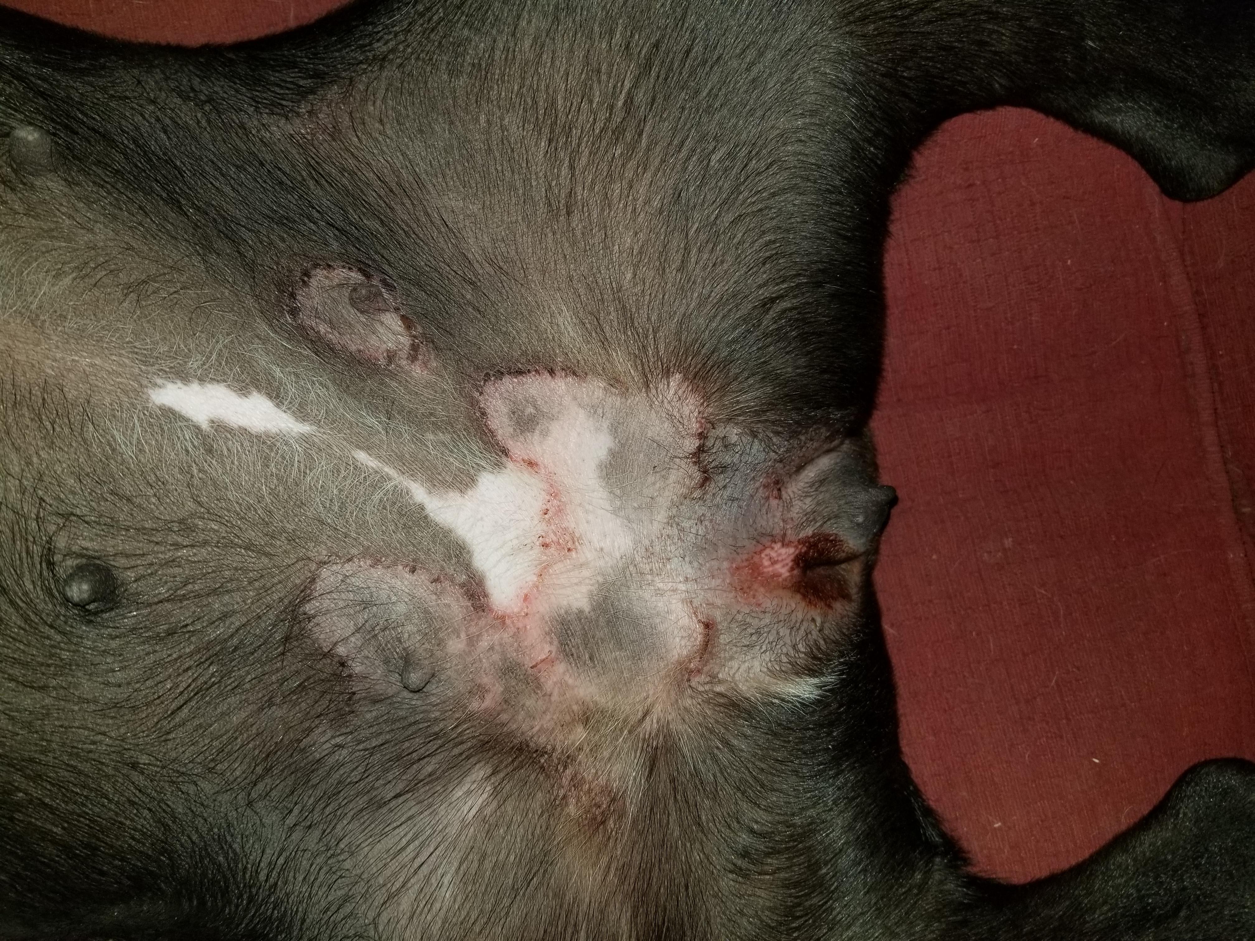 Question details sensitive content