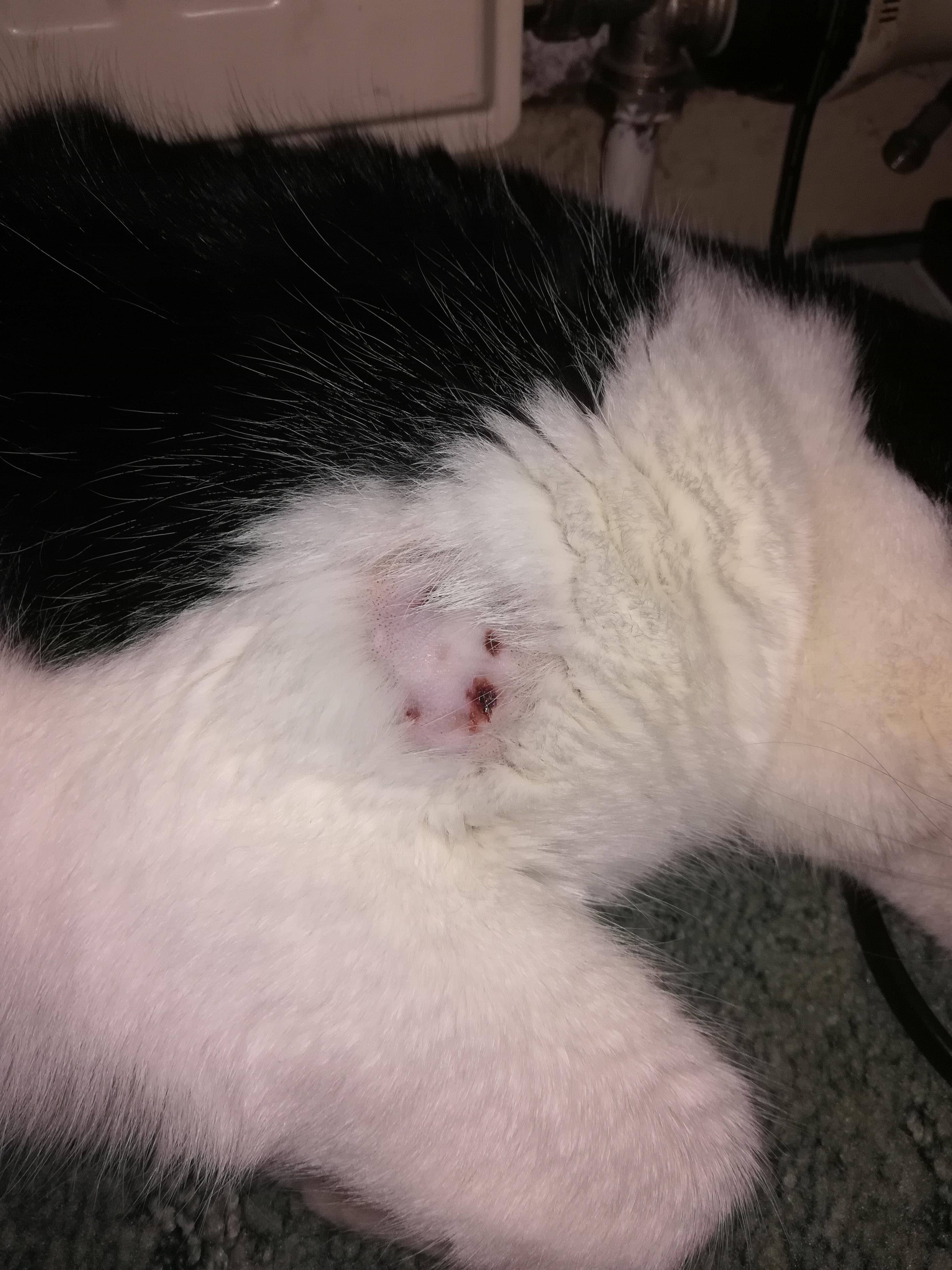 Question details sensitive content