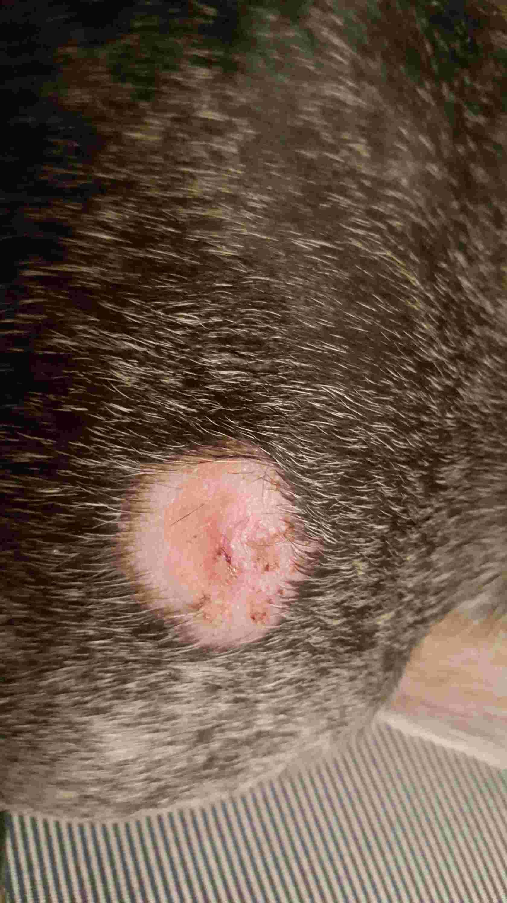 Question details sensitive content